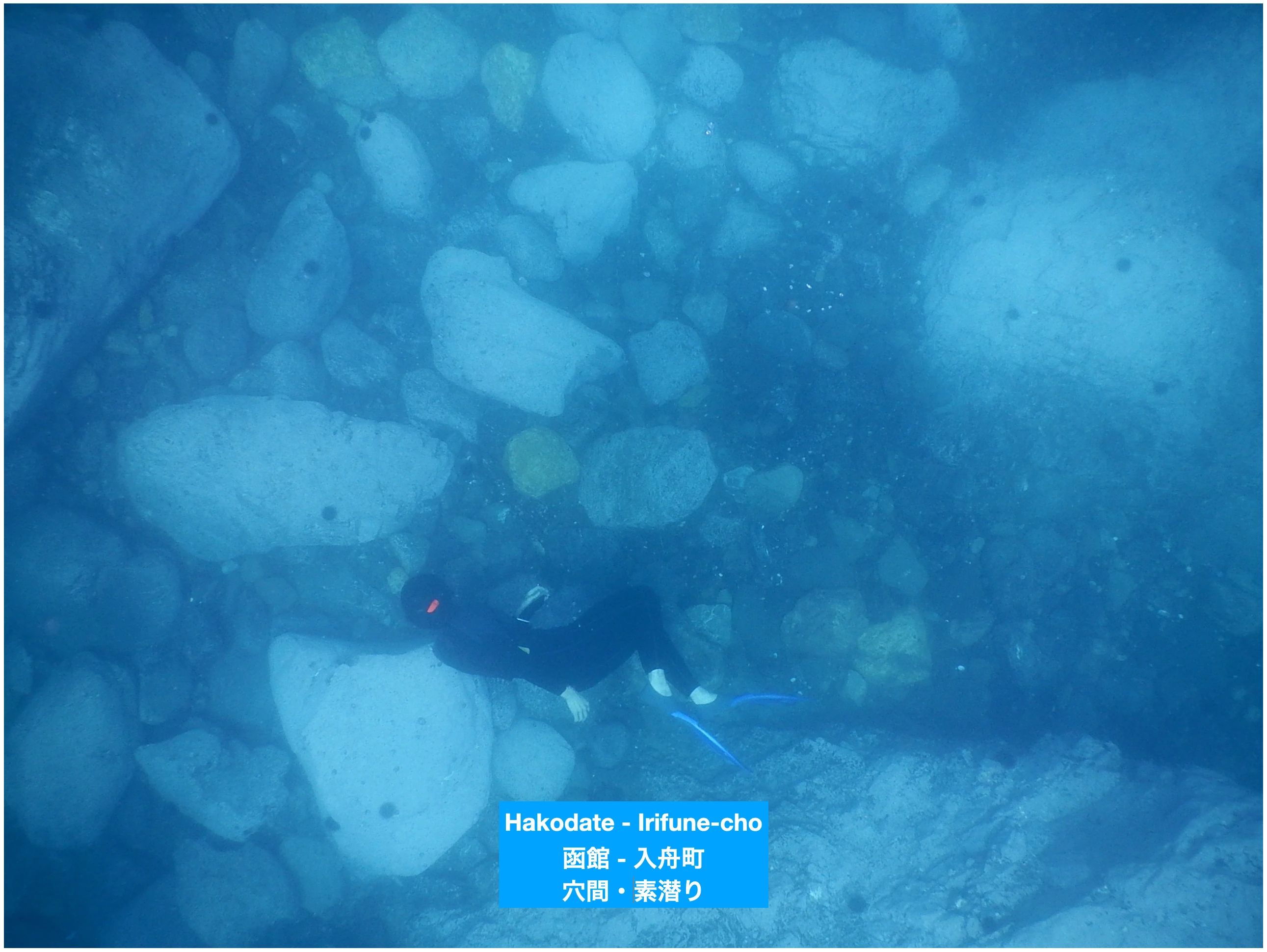 函館英会話教室EigoLa 本通教室のサムネイル画像 3