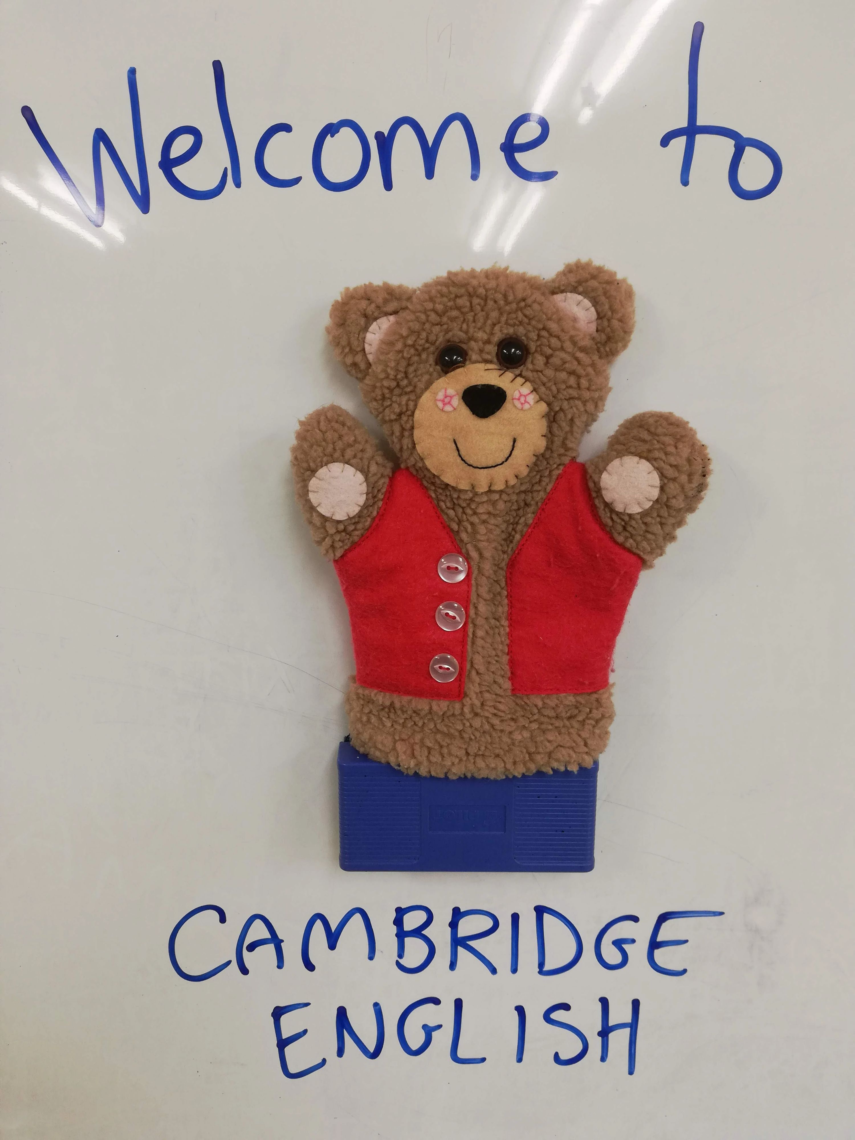 Cambridge English(ケンブリッジイングリッシュスクール) 田子教室のサムネイル画像 5