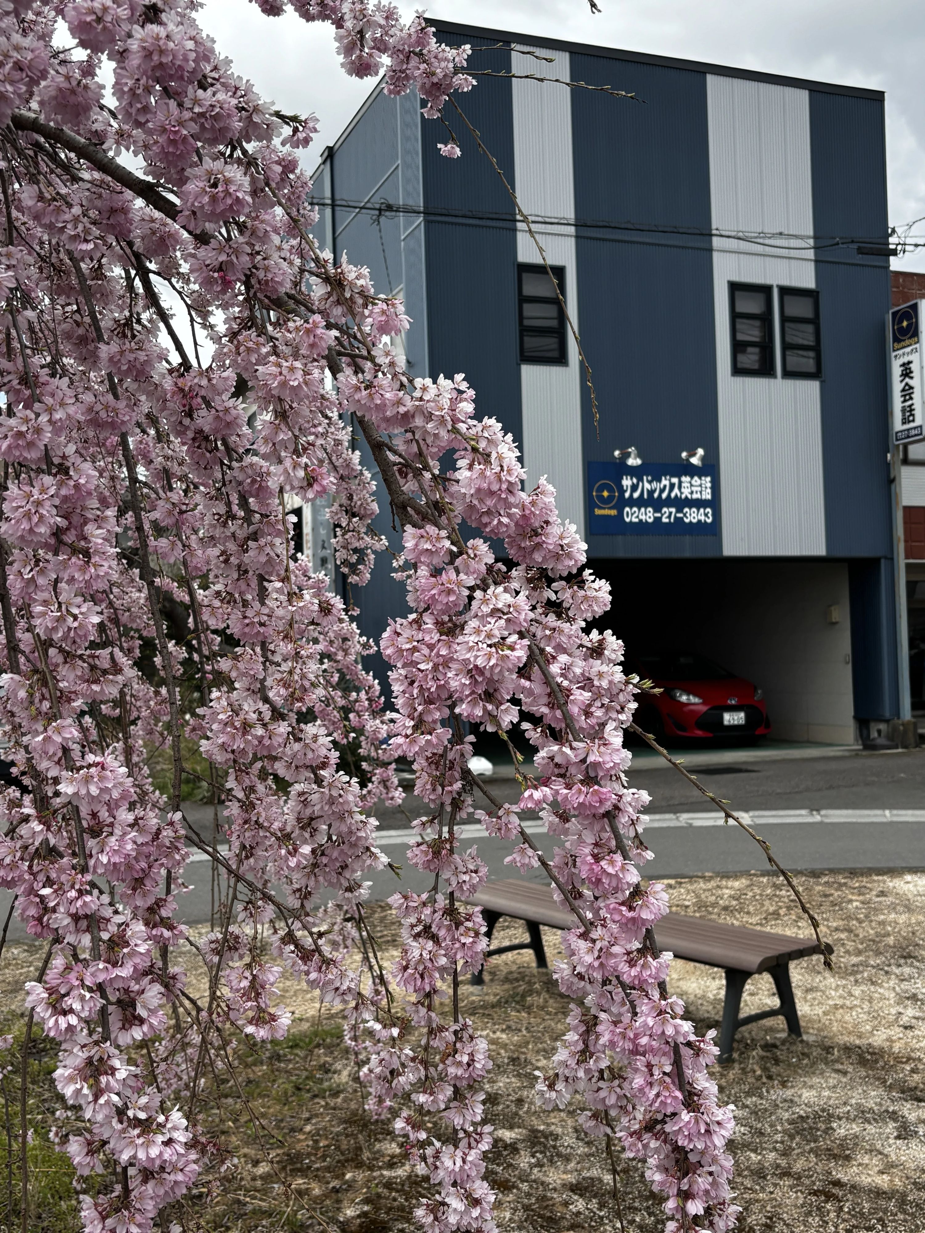 サンドッグス英会話 白河教室のメイン画像