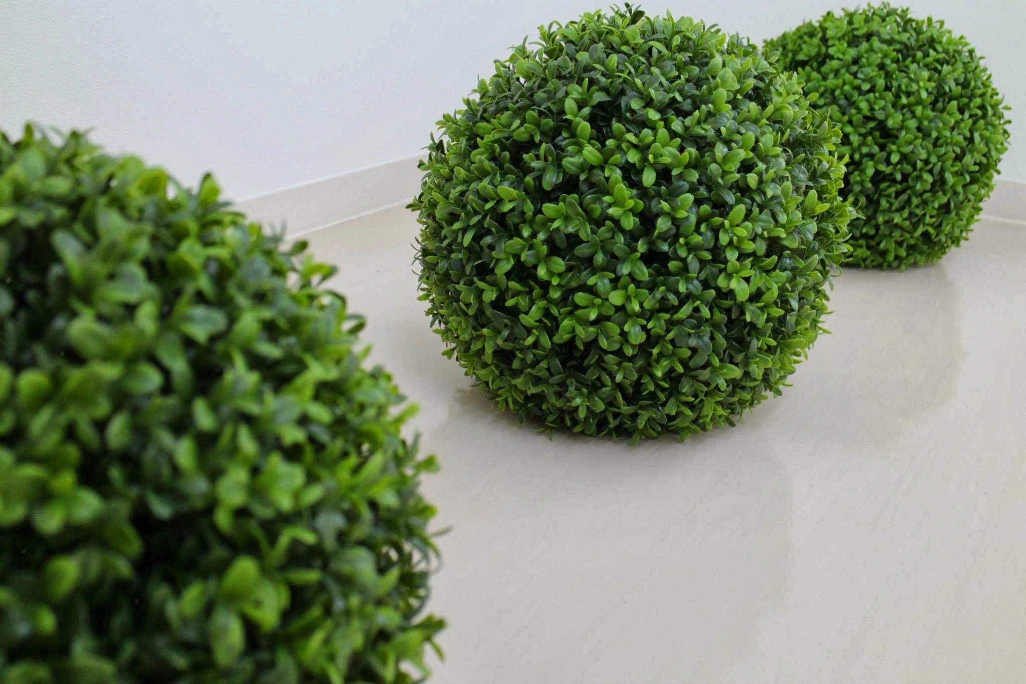 freecom 英語・英会話 福島校のサムネイル画像 5