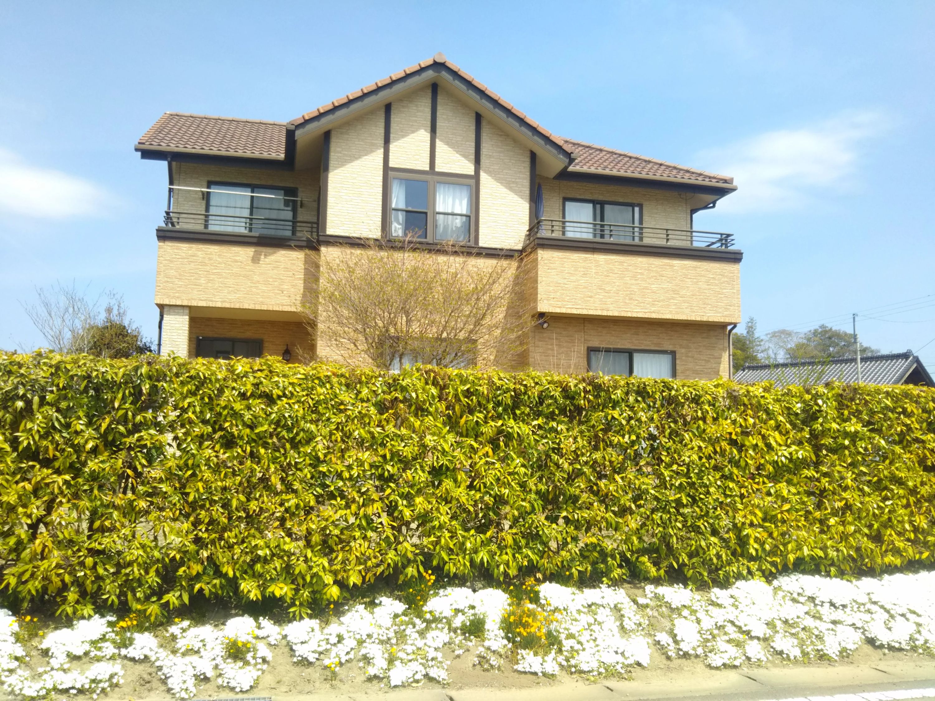 ミント音楽教室 英語・英会話 下岩瀬教室のサムネイル画像 5