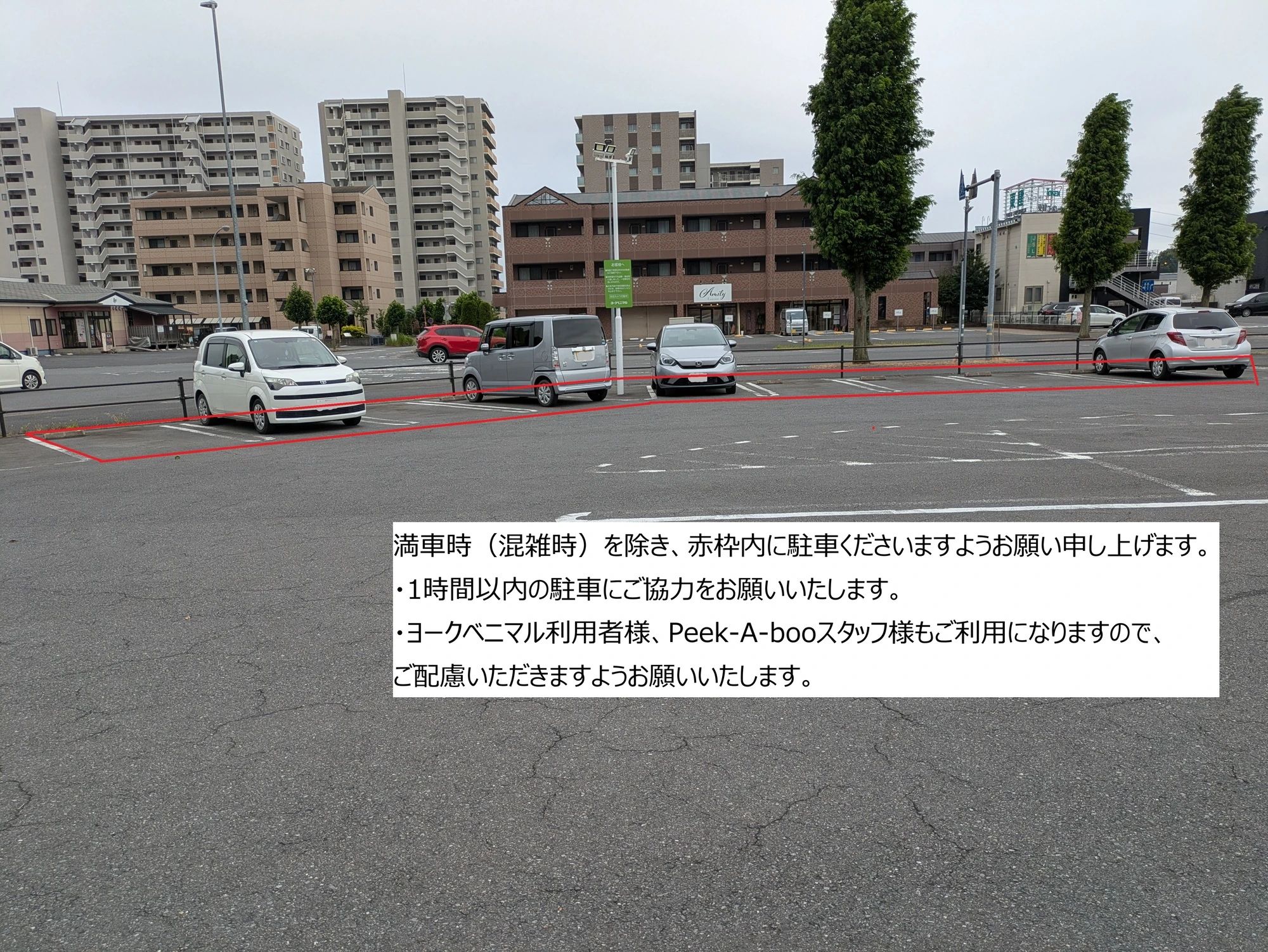 IB English ひたち野うしく校のサムネイル画像 5