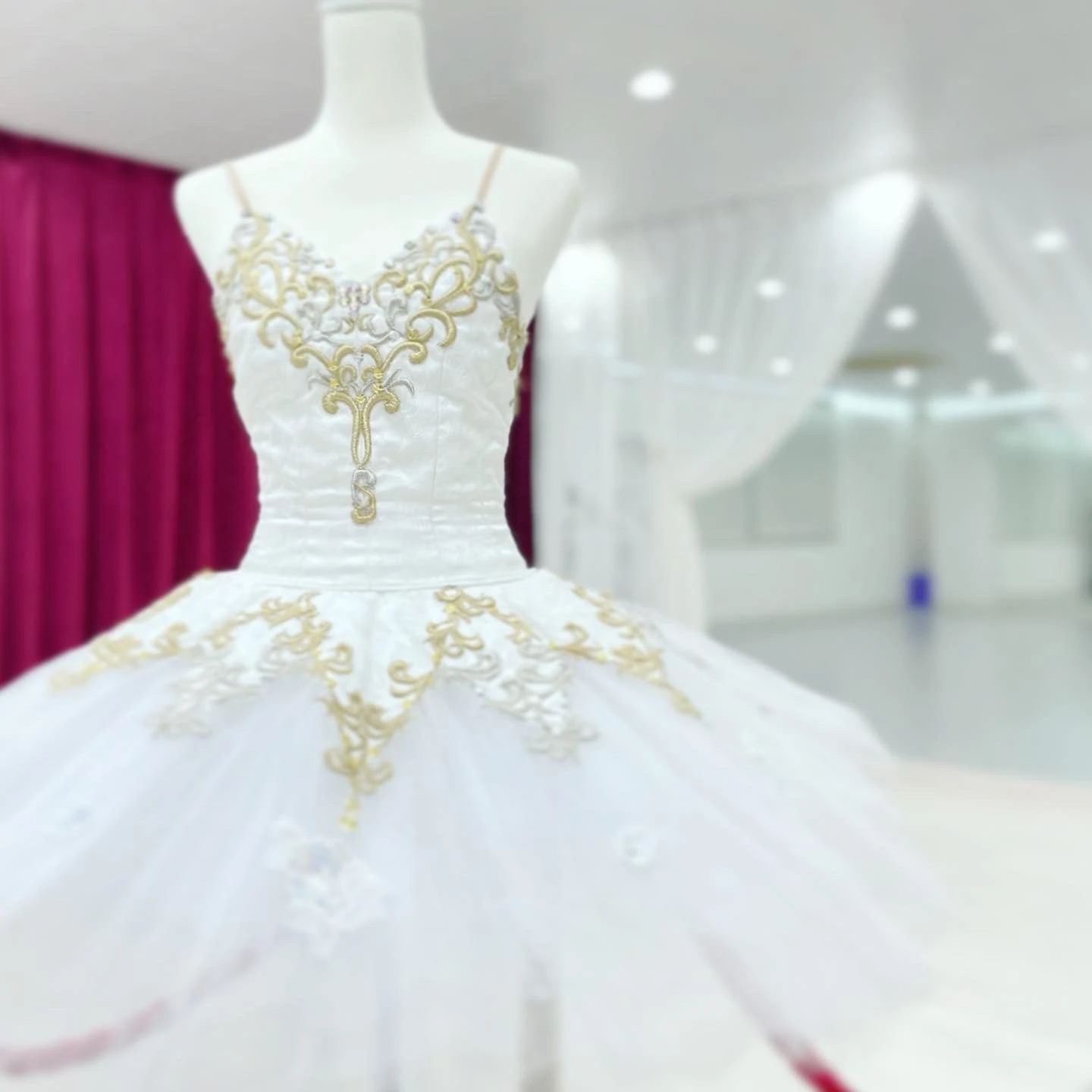 スターライツバレエアカデミーのメイン画像