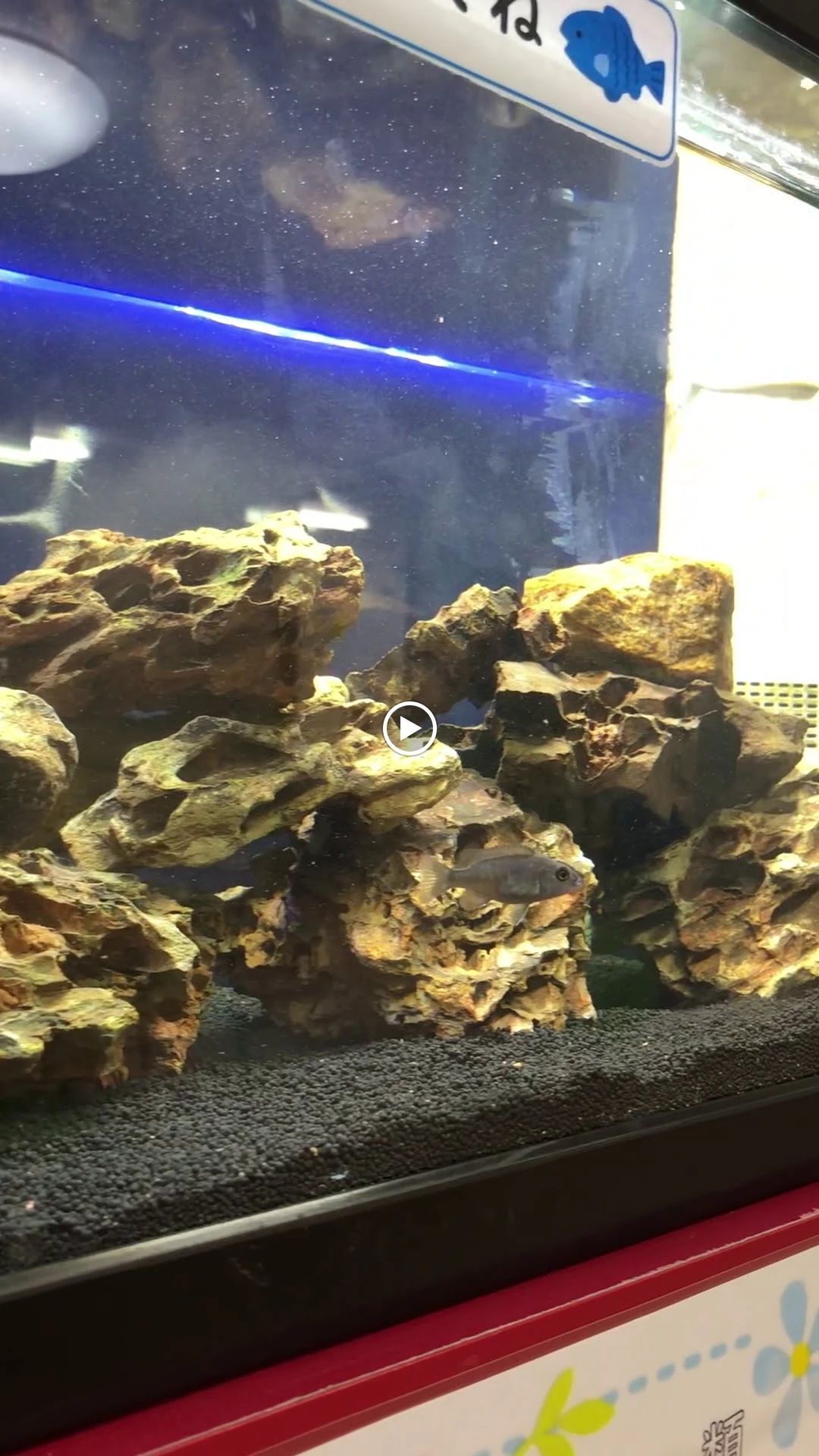 イングリッシュフォーユー 南千歳教室のサムネイル画像 5