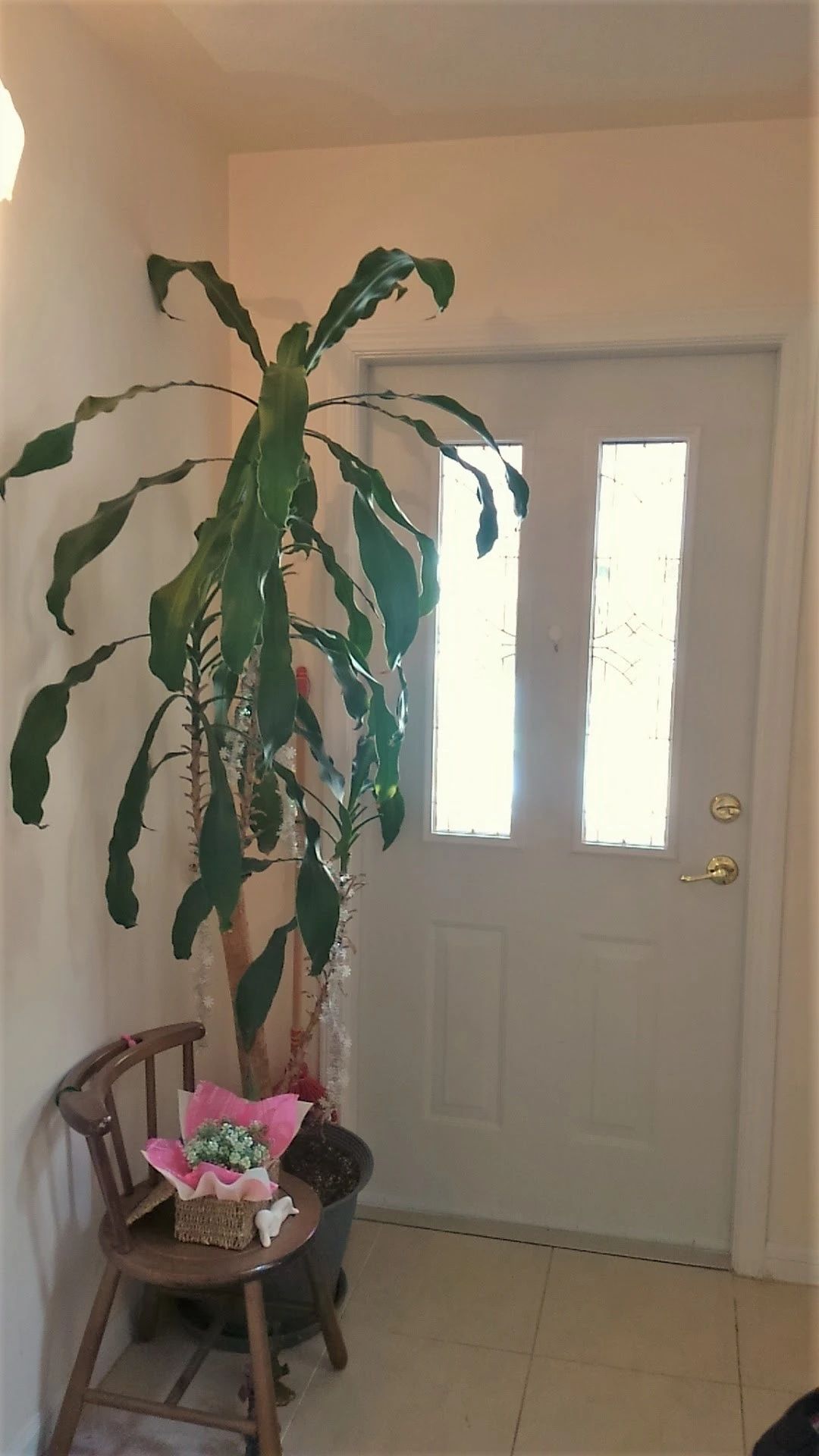 English@Home(イングリッシュホーム) 豊科光教室のサムネイル画像 2