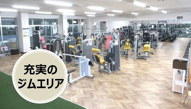 スポーツクラブ ルネサンスいわき キッズ体操教室のメイン画像