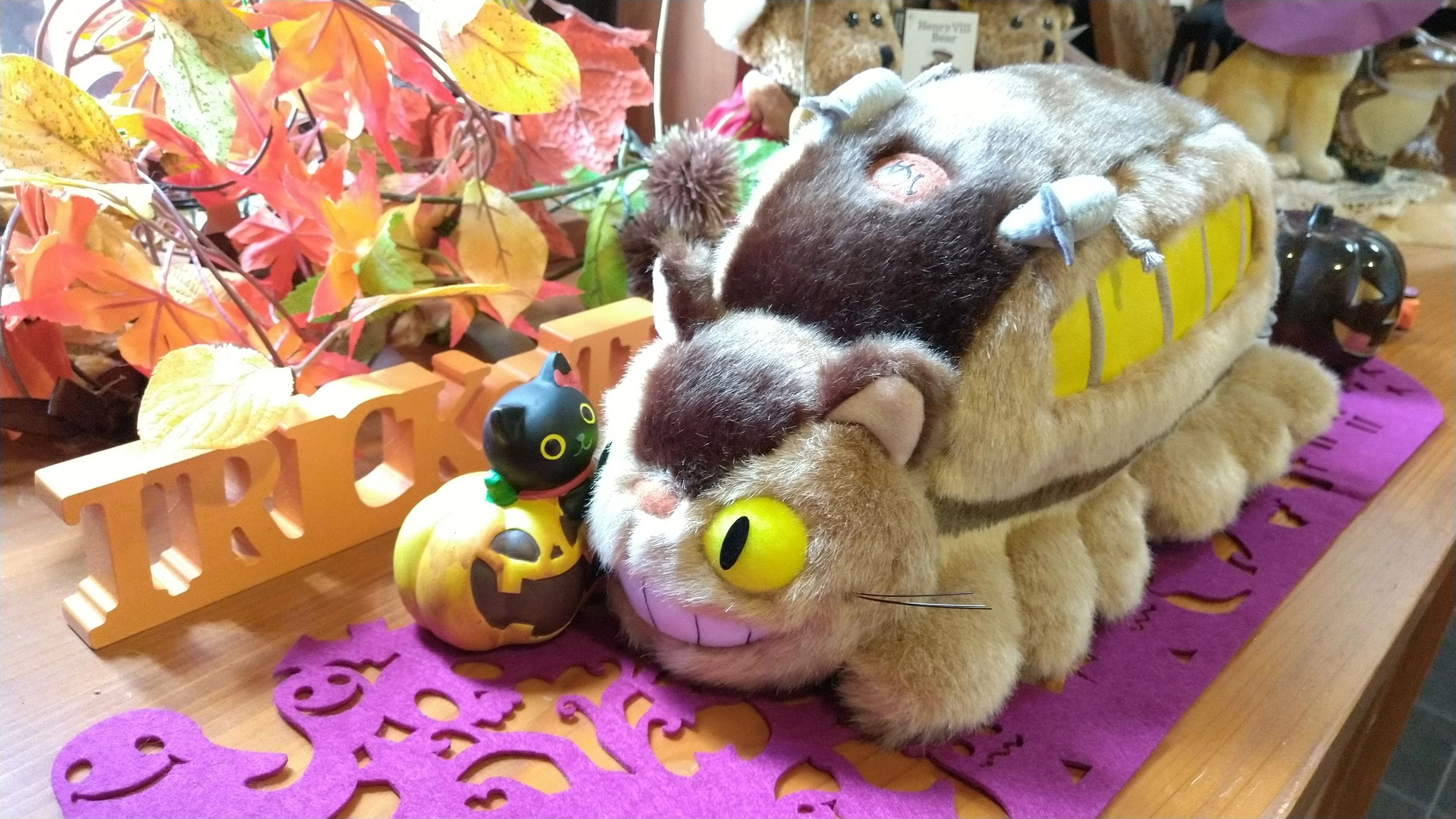 アルクKiddy CAT 英語・英会話 やまて坂校のサムネイル画像 3