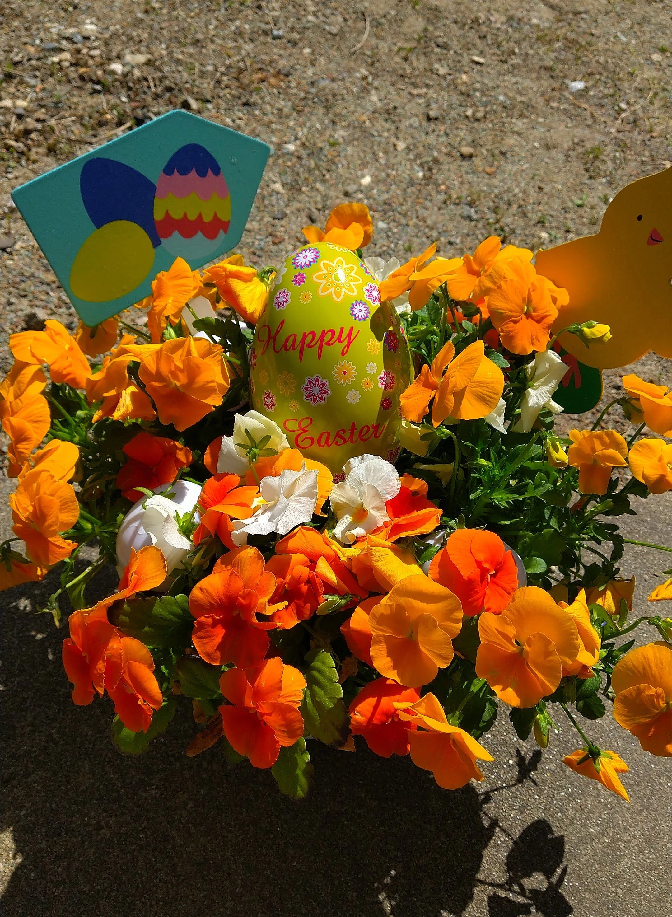 アルクKiddy CAT 英語・英会話 やまて坂校のサムネイル画像 2