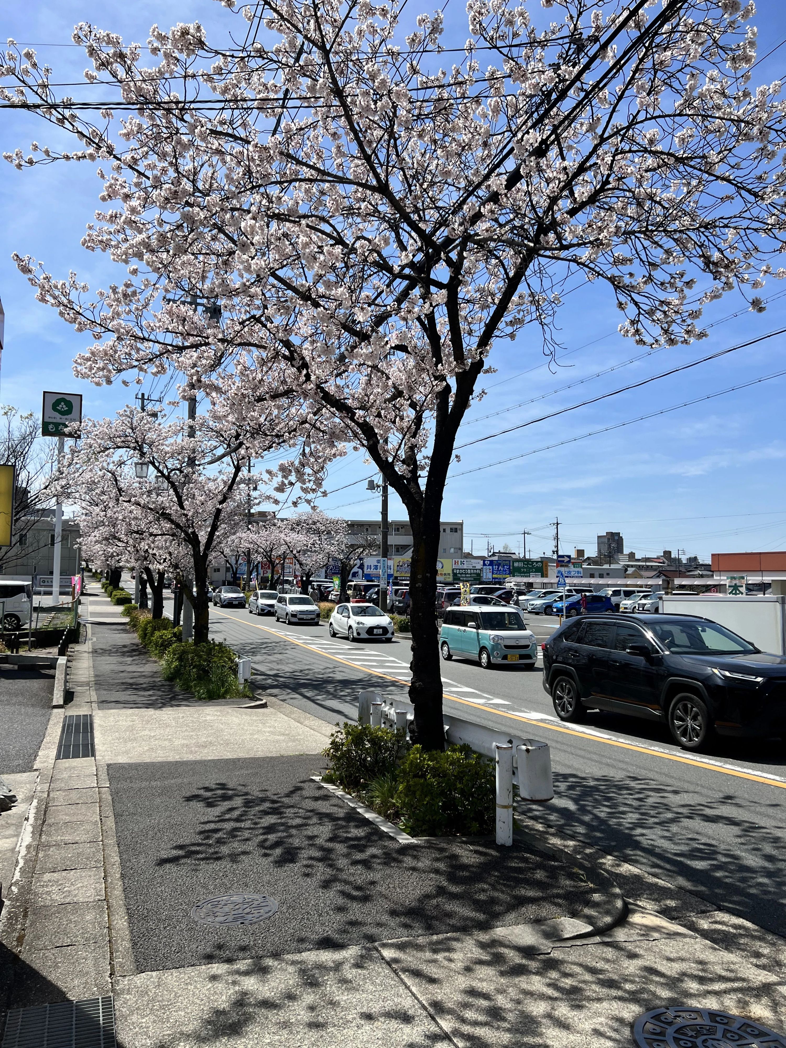 abc plus 英語・英会話 天白植田校のメイン画像