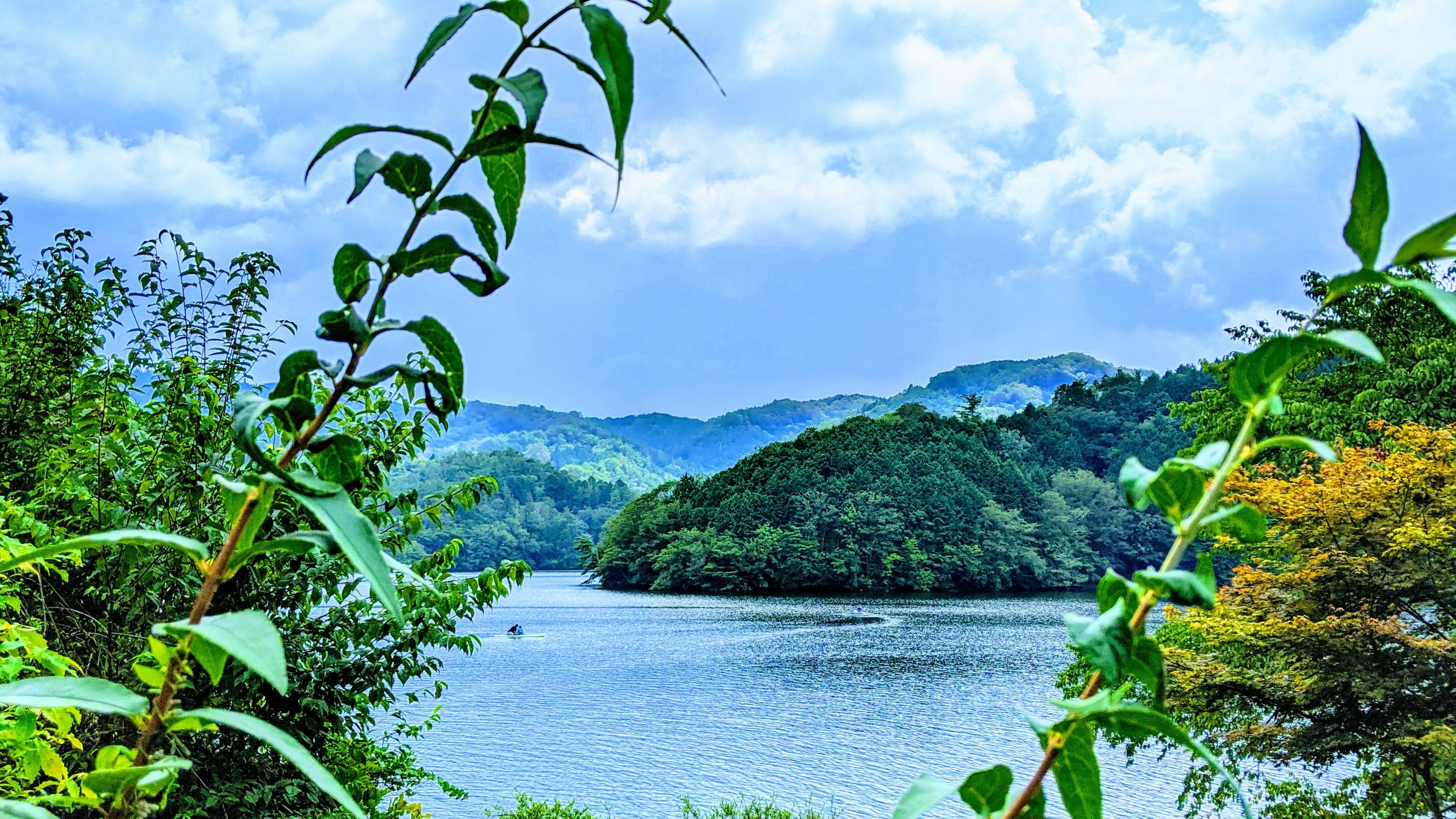 oya baka International English School 東新町教室のサムネイル画像 2