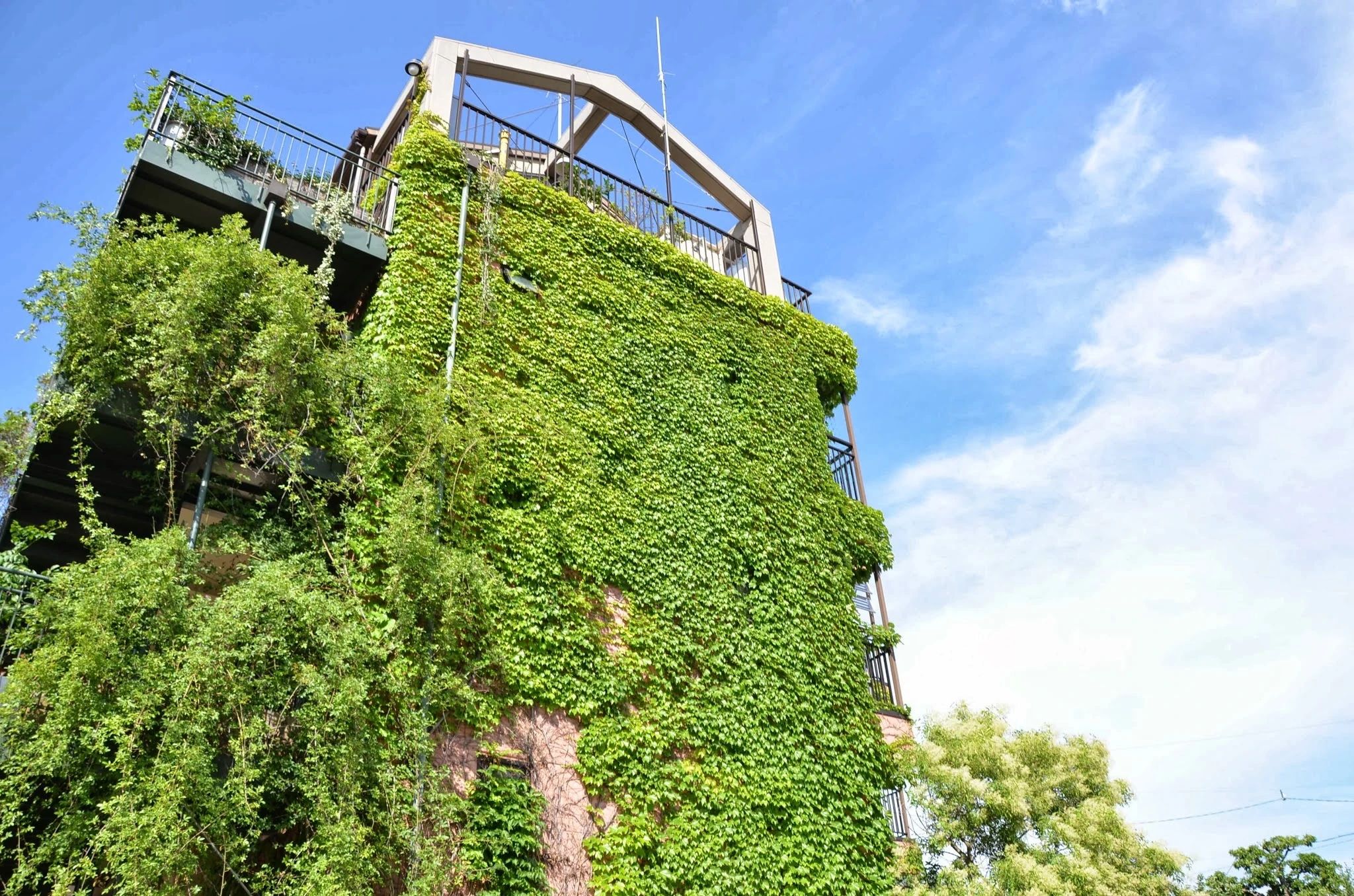 Sky Garden Pre-school(スカイガーデンプリスクール) 英語・英会話 清水教室のサムネイル画像 3