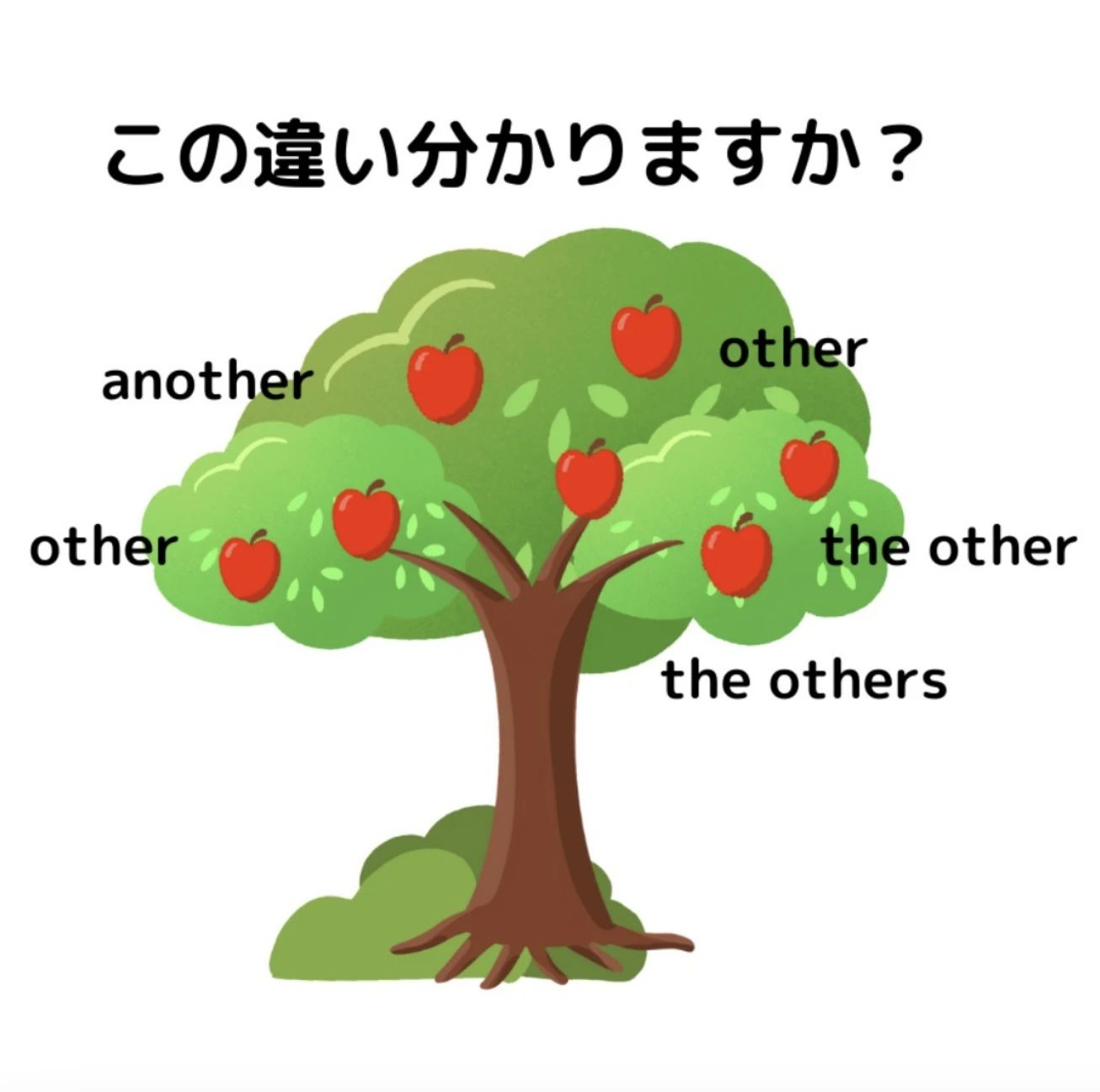 CAL English School 竜美中教室のメイン画像