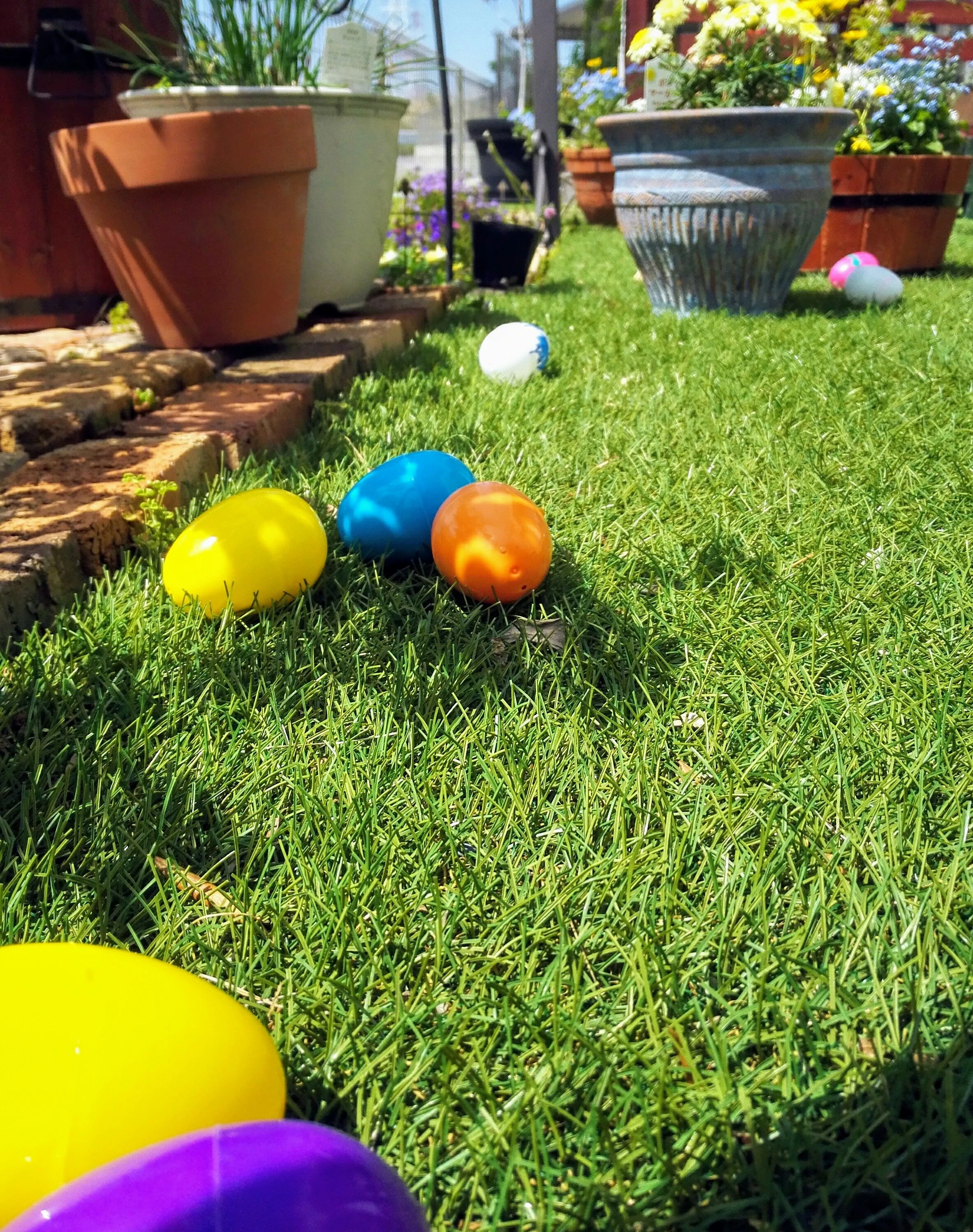 アルクKiddy CAT 英語・英会話 サニーセイリング知多校のメイン画像