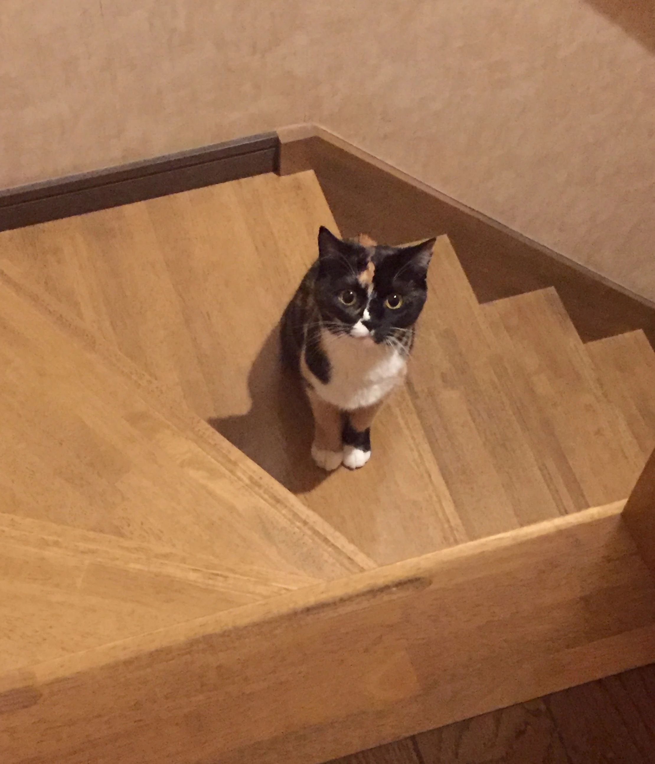 The Jump(ジャンプ) 英会話スクール 若宮町教室のサムネイル画像 2