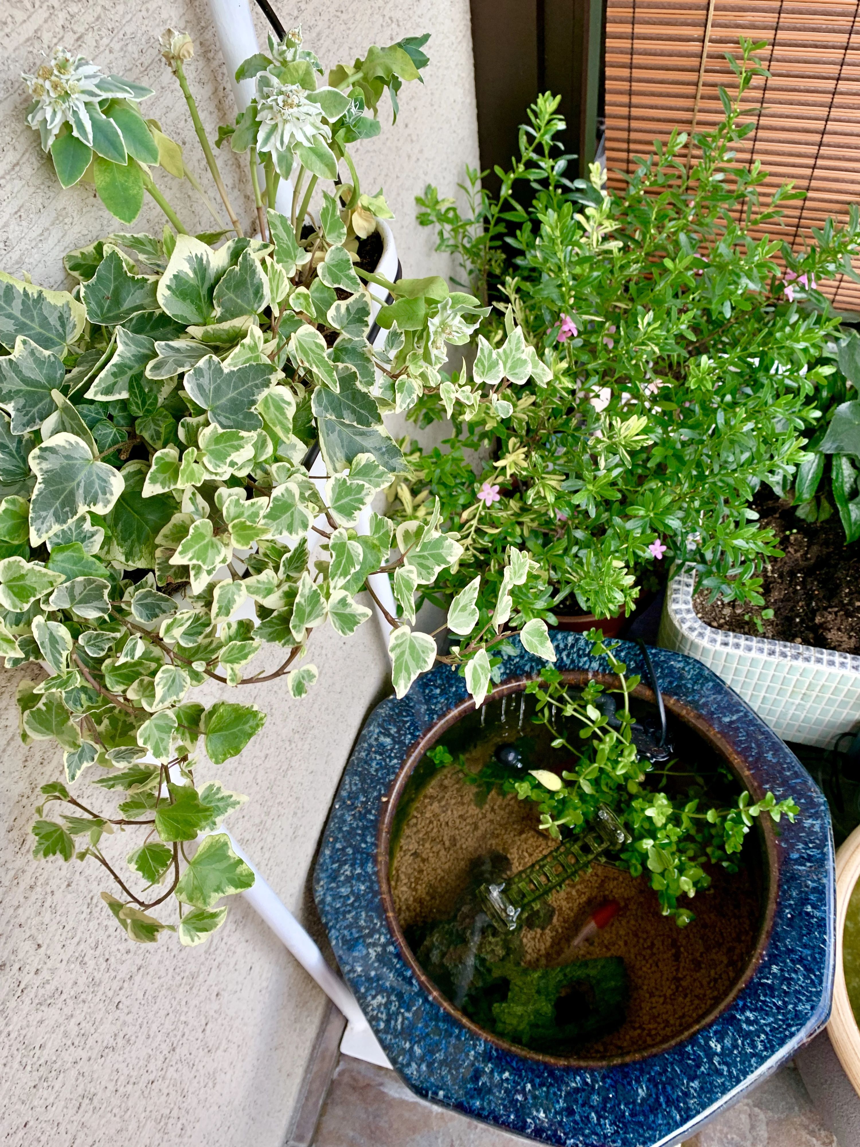 英語教室Andy(アンディ) 本通教室のサムネイル画像 3