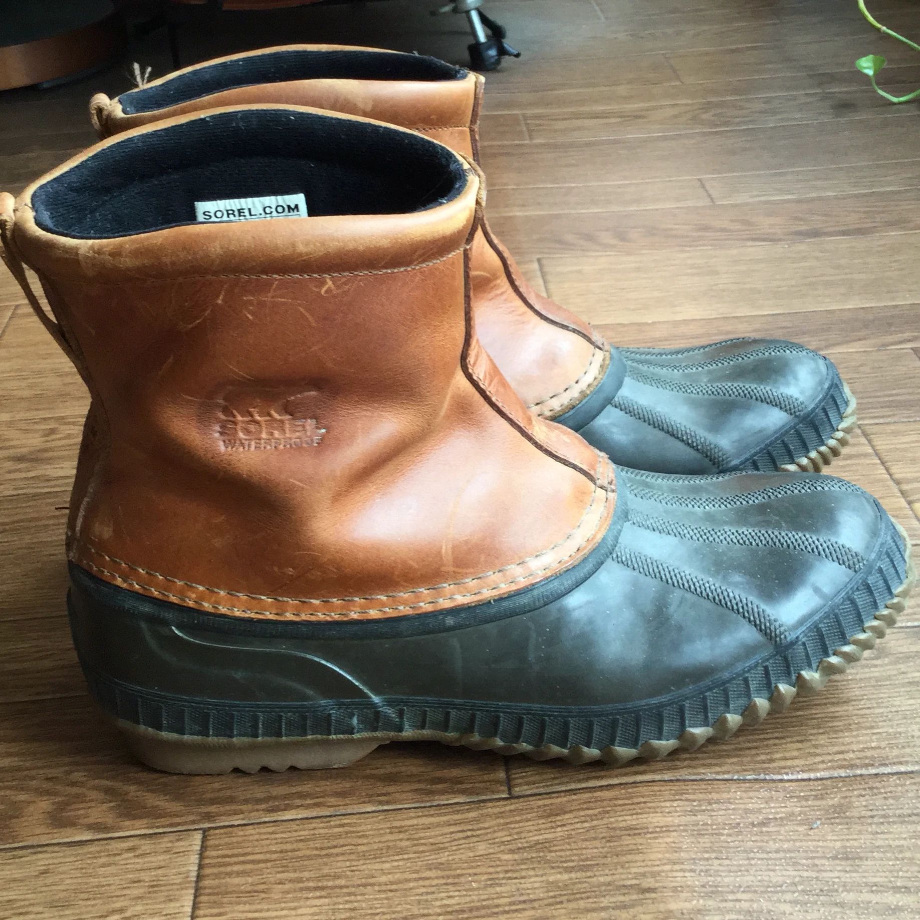 OFFBEAT(オフビート)英会話教室 大岩教室のサムネイル画像 4