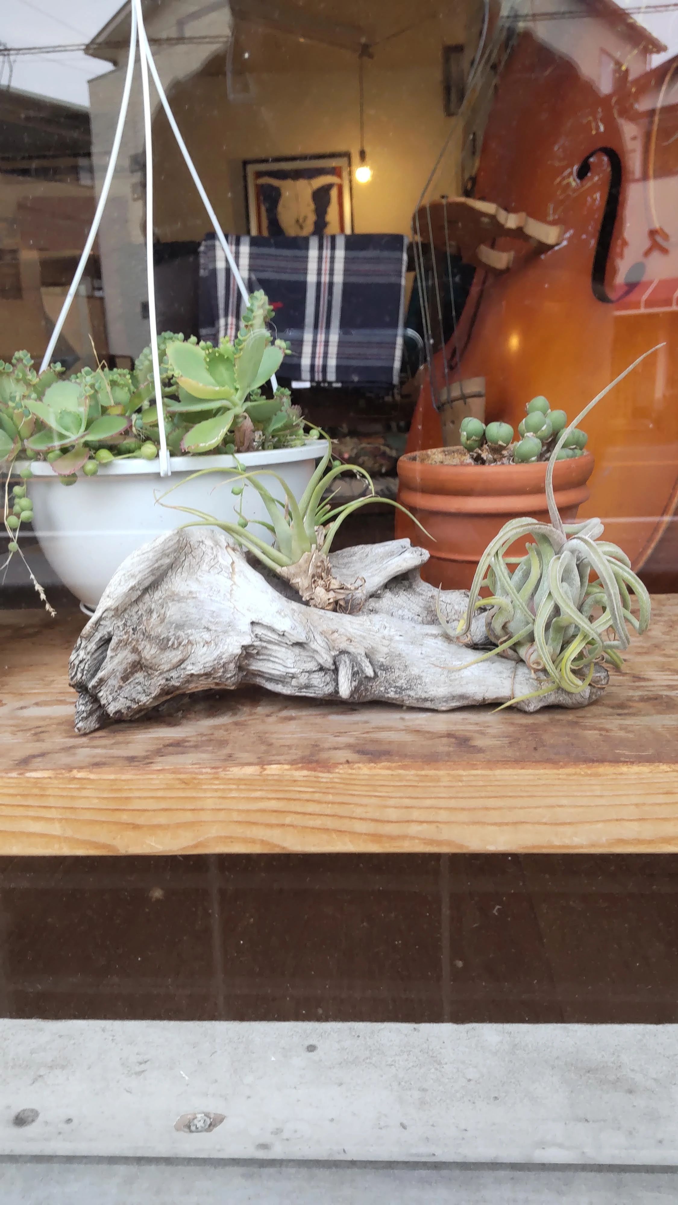 OFFBEAT(オフビート)英会話教室 大岩教室のサムネイル画像 5