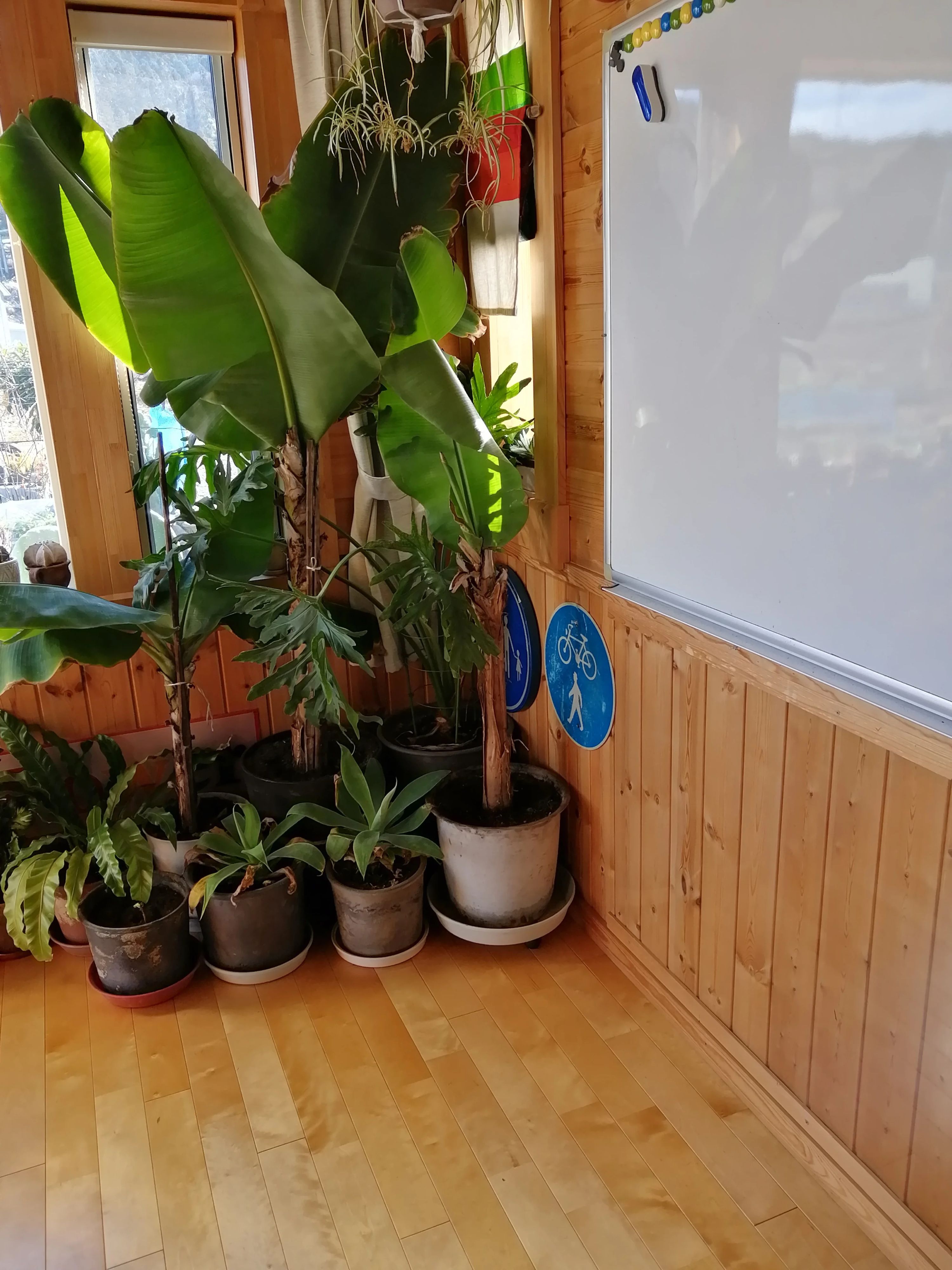 WordPower(ワードパワー)英会話 金谷東教室のメイン画像