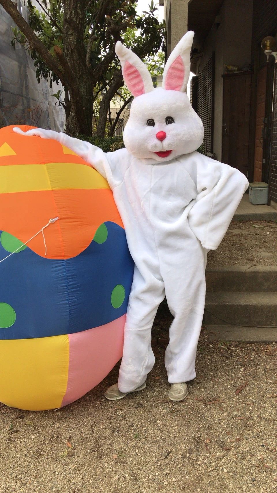 ミシシッピー・英語学院 嬉野町教室のサムネイル画像 2