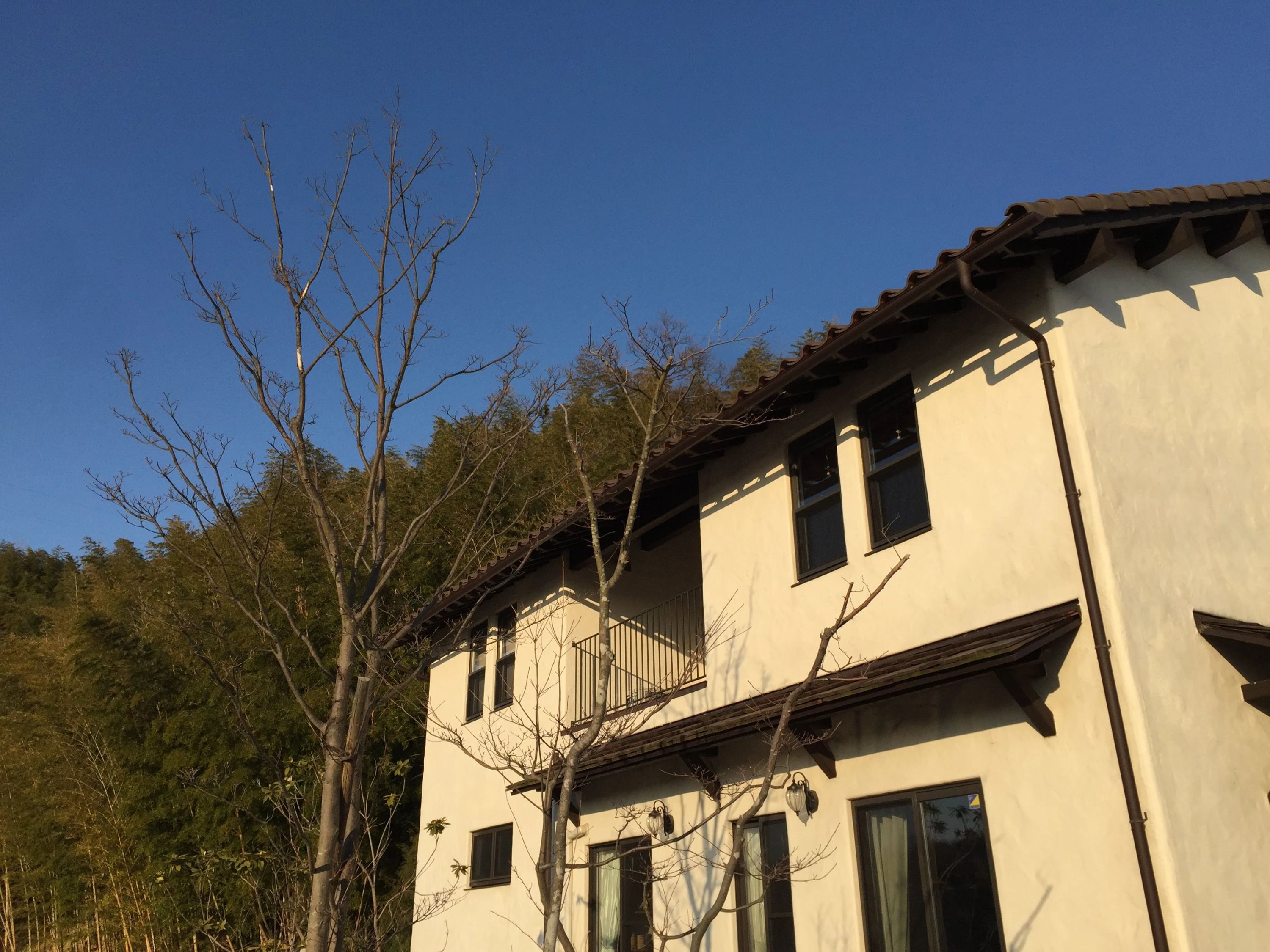 Lingua English(リングアイングリッシュ) 朝日教室のサムネイル画像 3