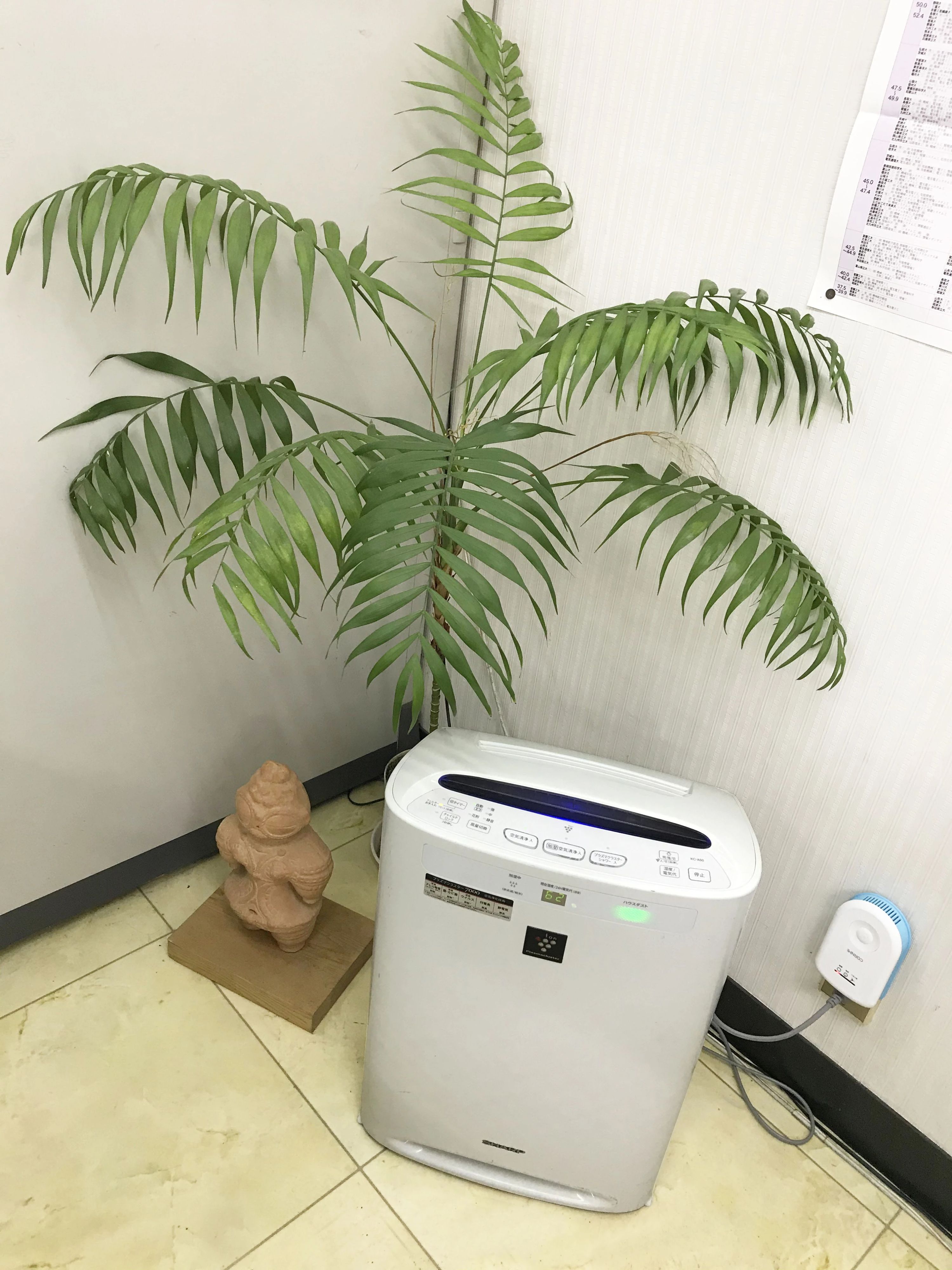 早進学院のサムネイル画像 5