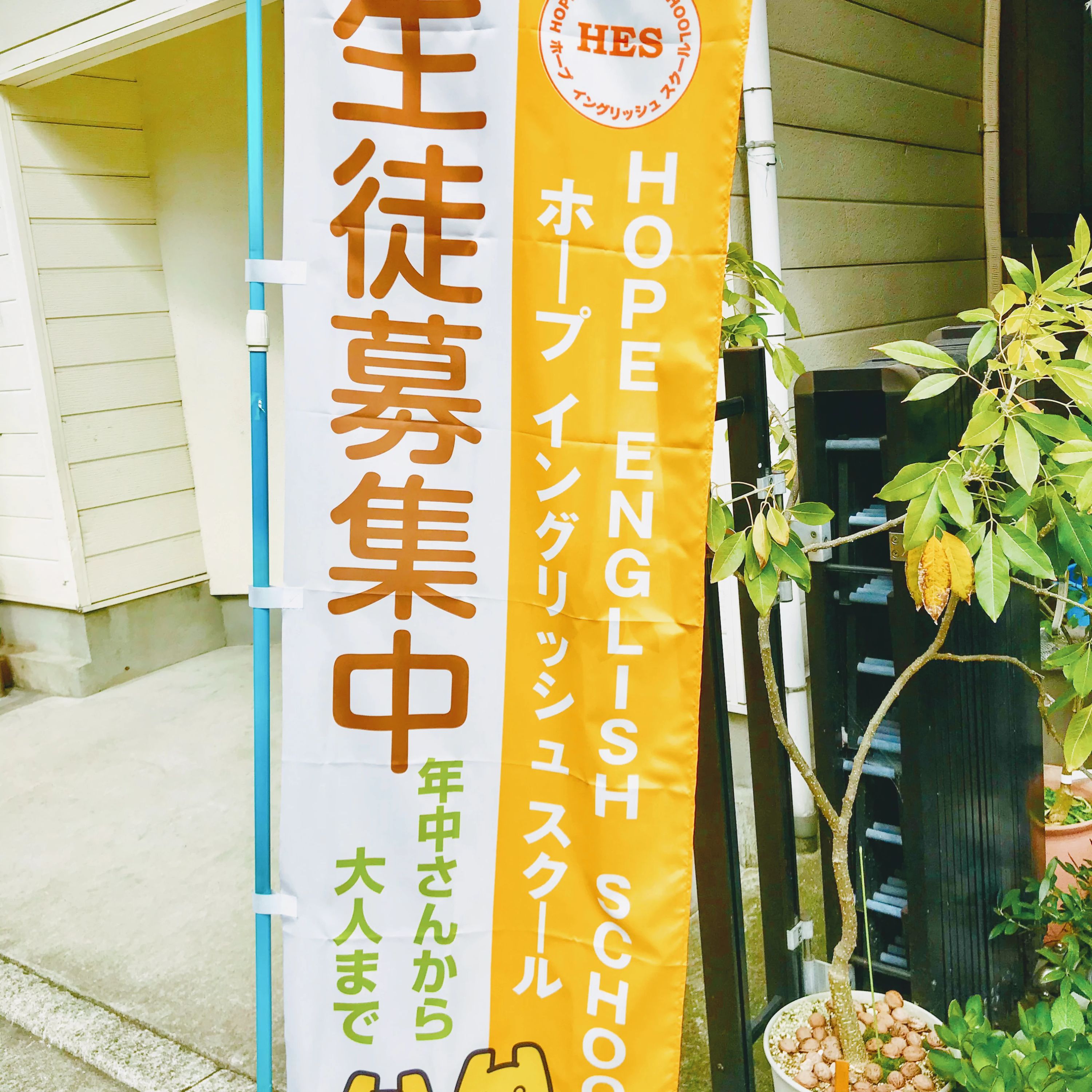 HOPE ENGLISH SCHOOL(ホープイングリッシュスクール) 上野芝町教室のサムネイル画像 2