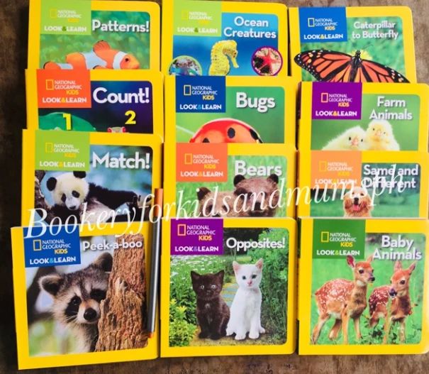 未来キッズイングリッシュクラブ 平野教室のサムネイル画像 2