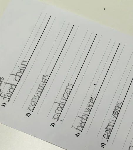 PROPER ENGLISH ACADEMY(プロパーイングリシュアカデミー) 北堀江教室のサムネイル画像 5