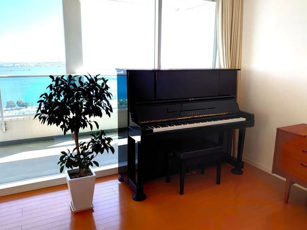 ソノール音楽教室のサムネイル画像 4