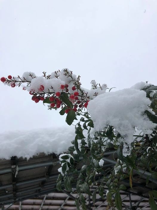 Blue Dolphins(ブルードルフィンズ) 英語・英会話 高槻校のメイン画像