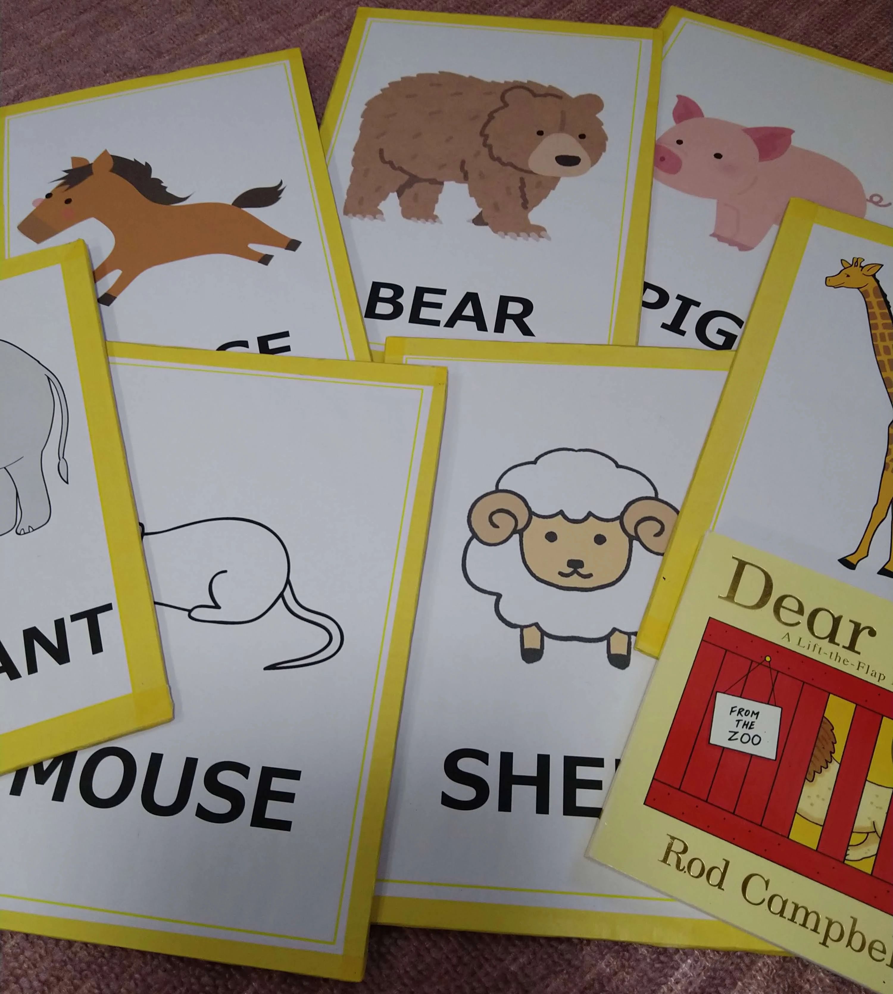 寺子屋えいごTwinkle(トウィンクル) 英語・英会話 上新田教室のメイン画像