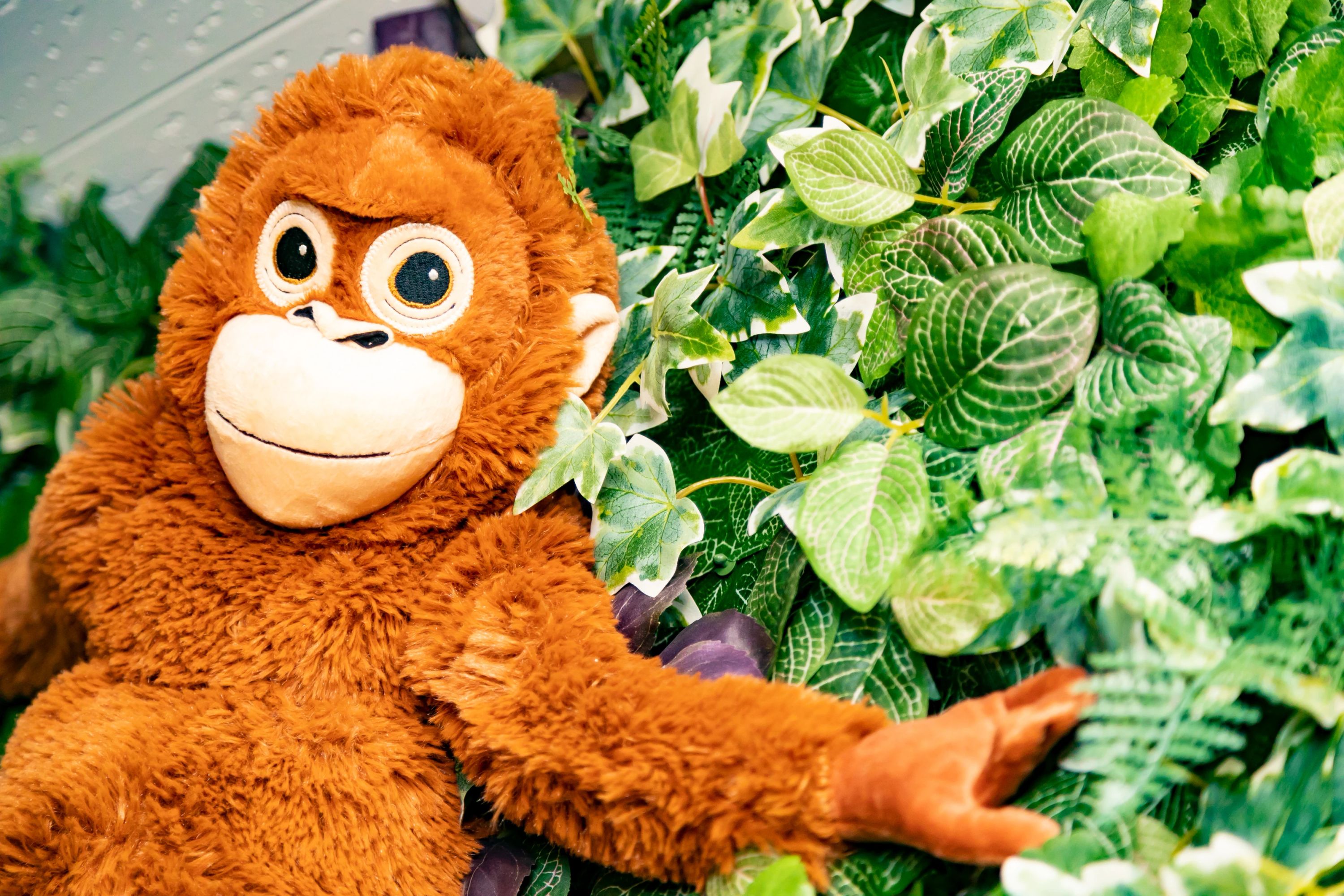 コミュニティ英会話[大阪府] 新喜多東一会館のメイン画像