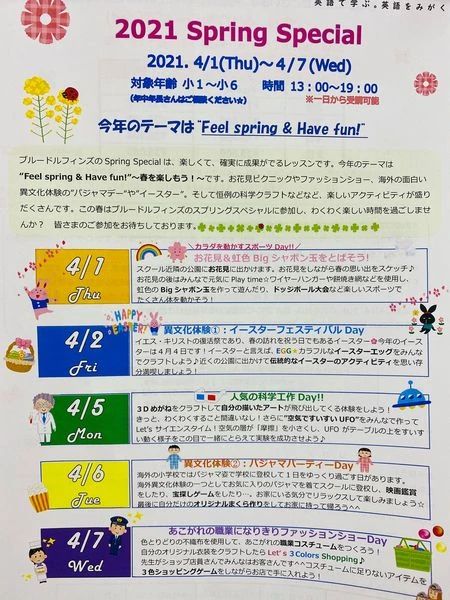 Blue Dolphins(ブルードルフィンズ) 英語・英会話 三国ヶ丘校のメイン画像