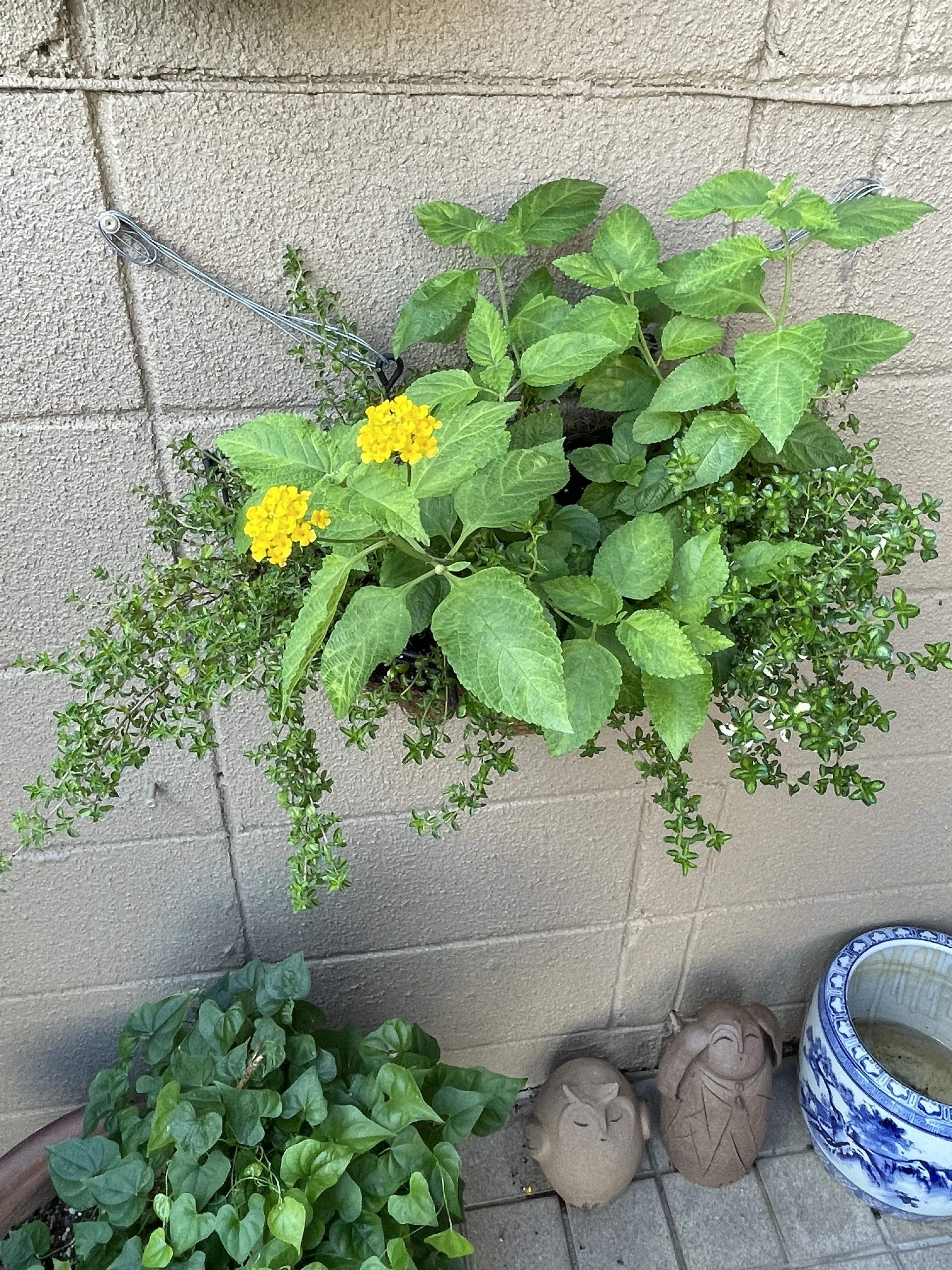 Venetia International Language School(ベニシアインターナショナル英会話スクール) 田中大堰町教室のメイン画像