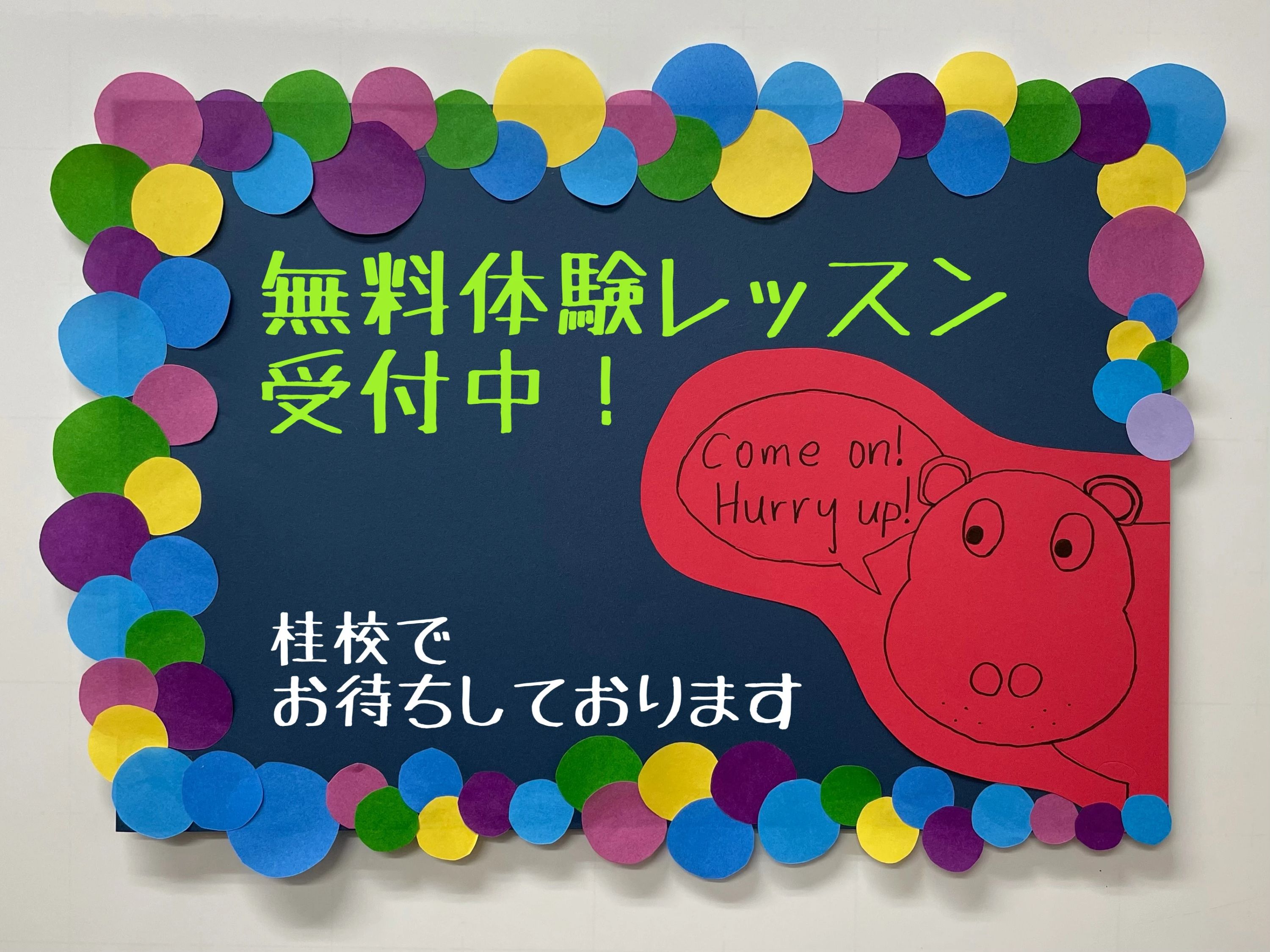 シェーン英会話 桂校のサムネイル画像 3