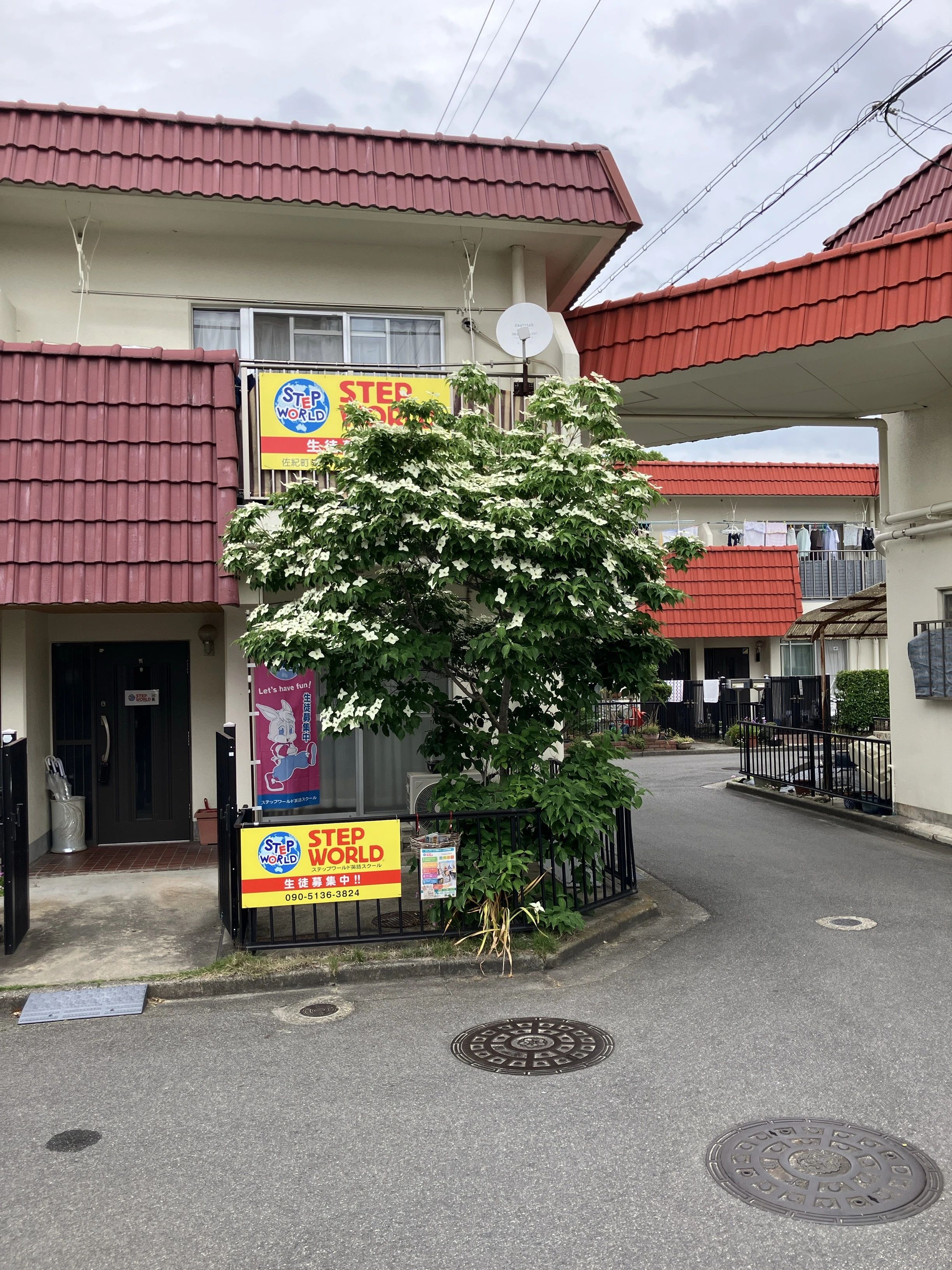 STEP WORLD(ステップワールド) 英語・英会話 西大寺教室のメイン画像