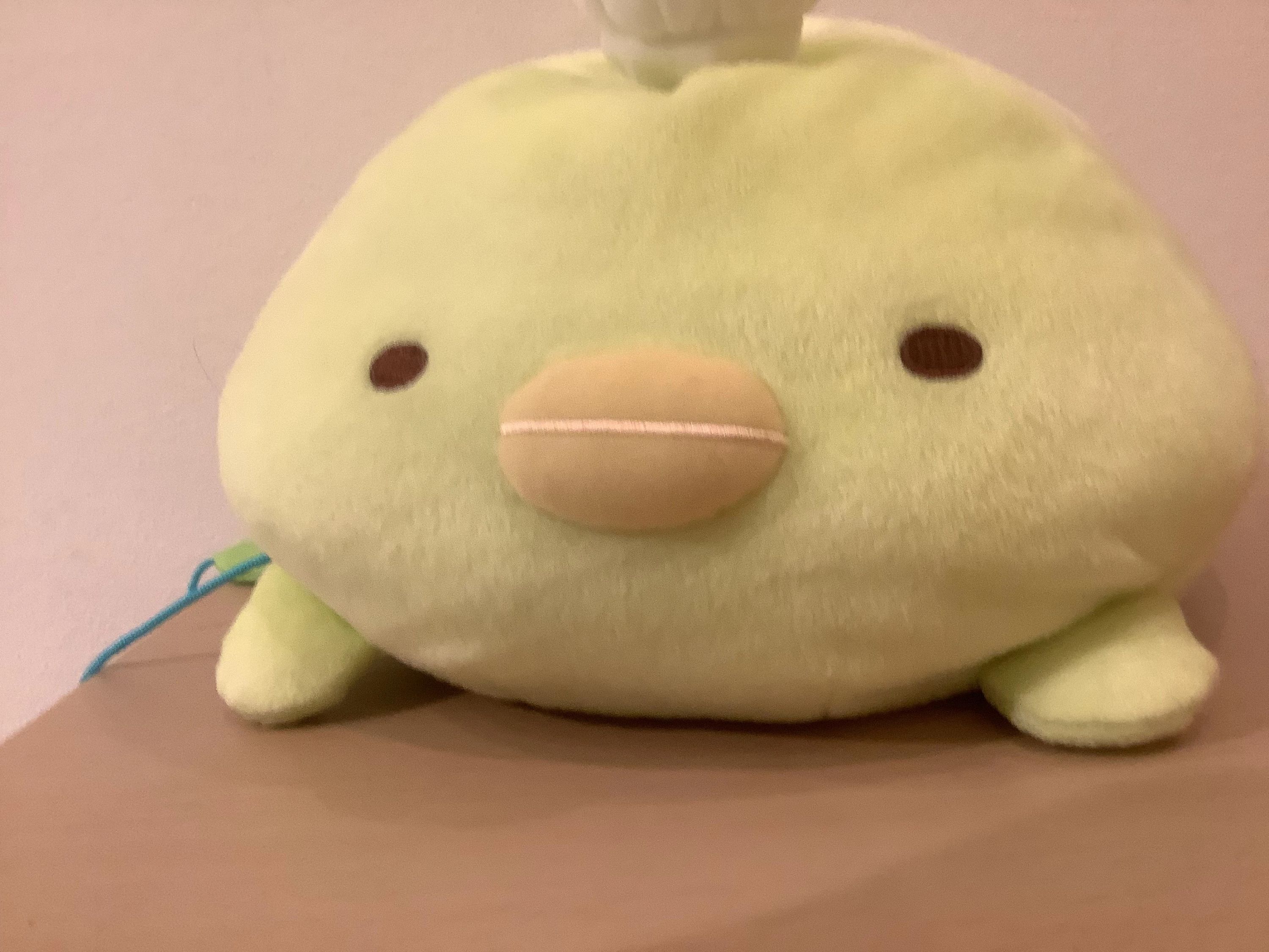 STEP WORLD(ステップワールド) 英語・英会話 COCO松江教室のサムネイル画像 2