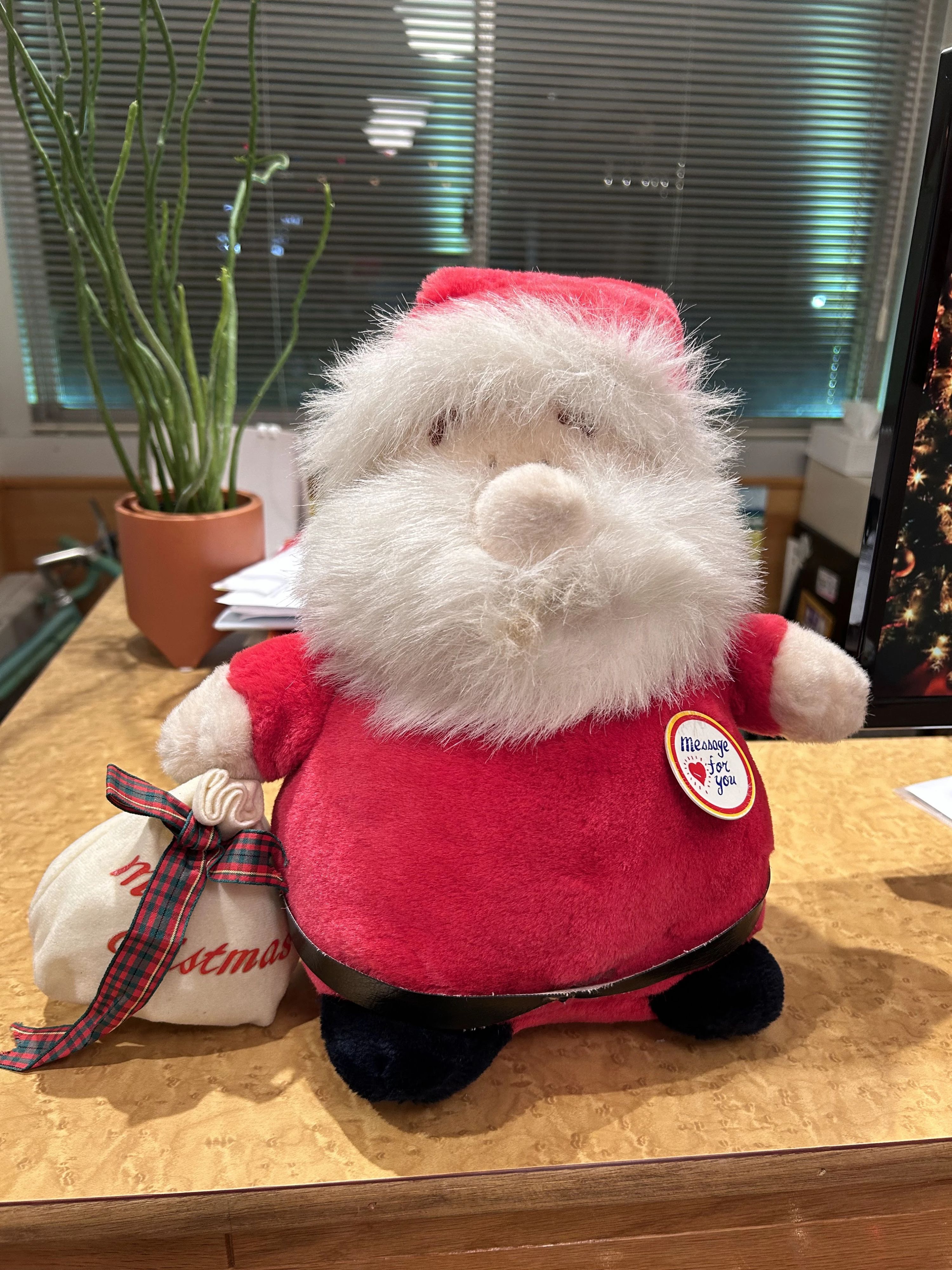 英会話ジェネシス 野田屋町教室のサムネイル画像 4