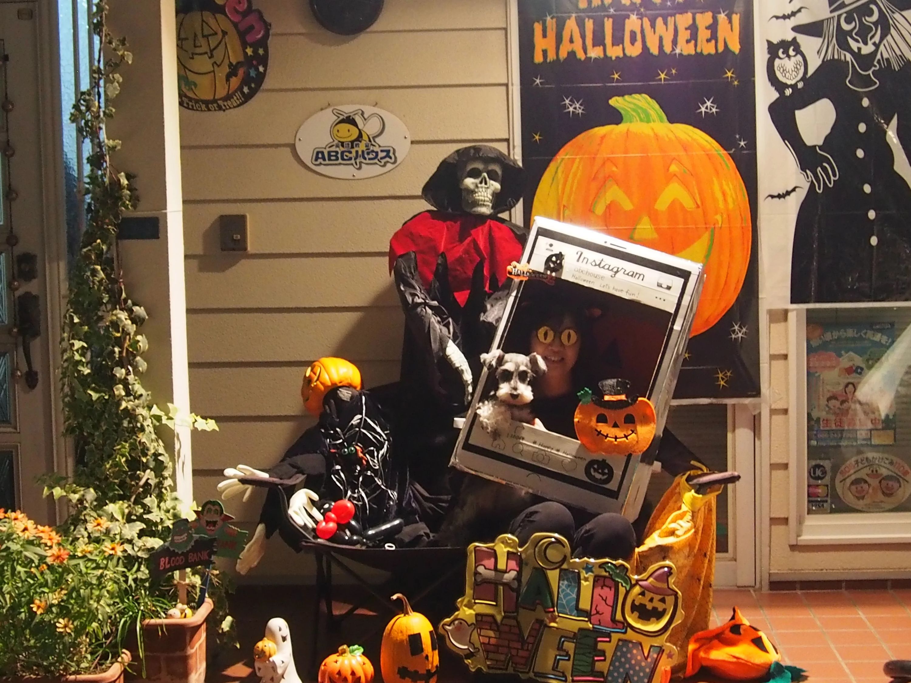 英語教室ABCハウス 英語教室岡山市北のサムネイル画像 5