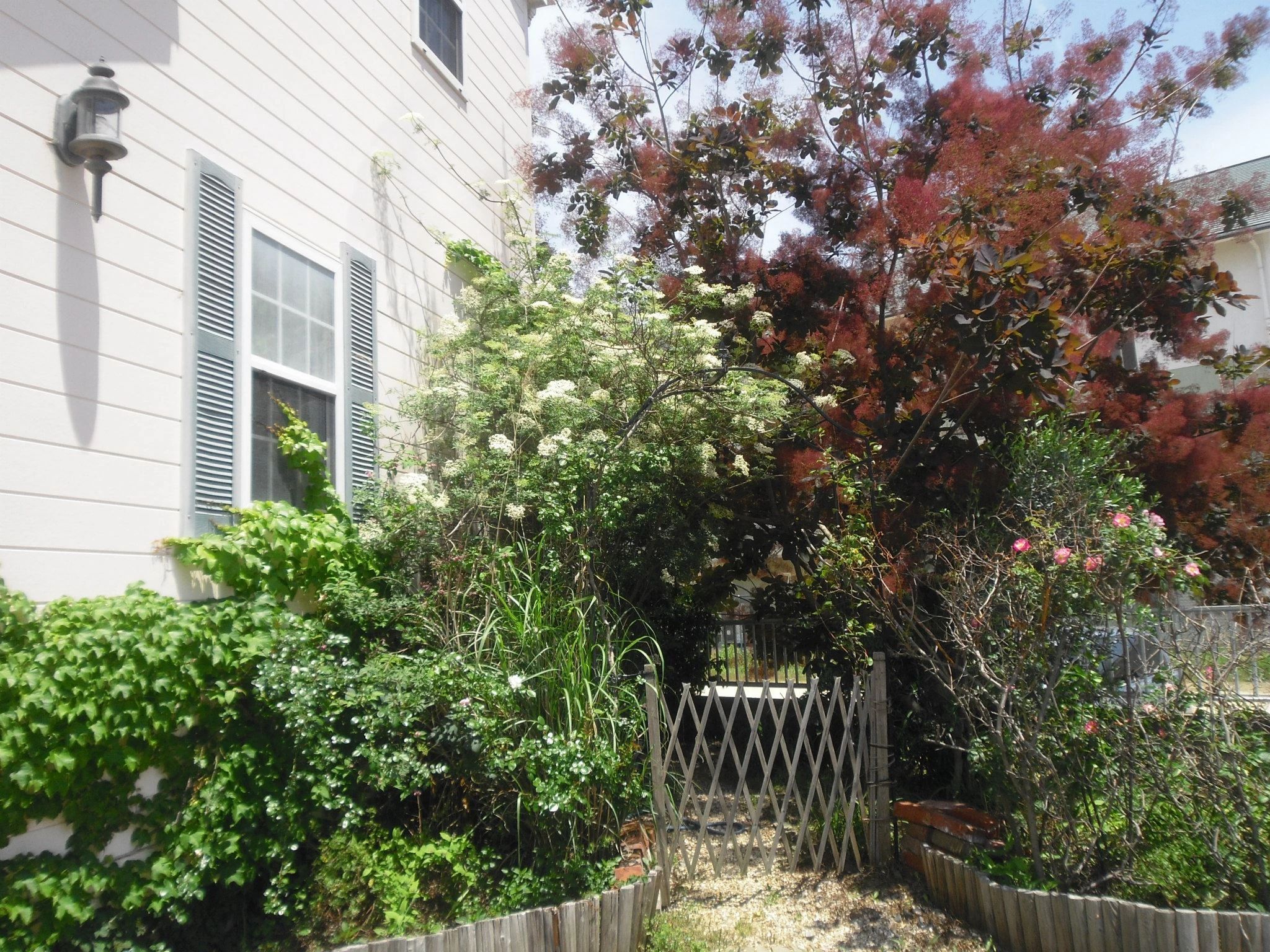 エイブルイングリッシュスクール 賞田教室のサムネイル画像 3