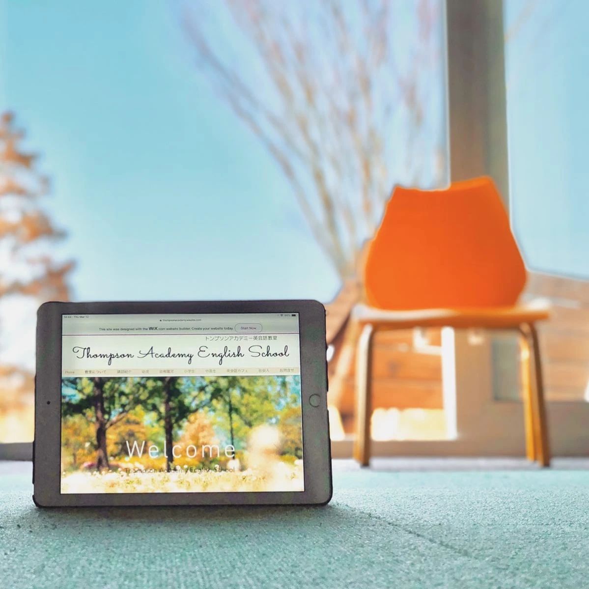 トンプソンアカデミー英会話教室 城東台東教室のサムネイル画像 2