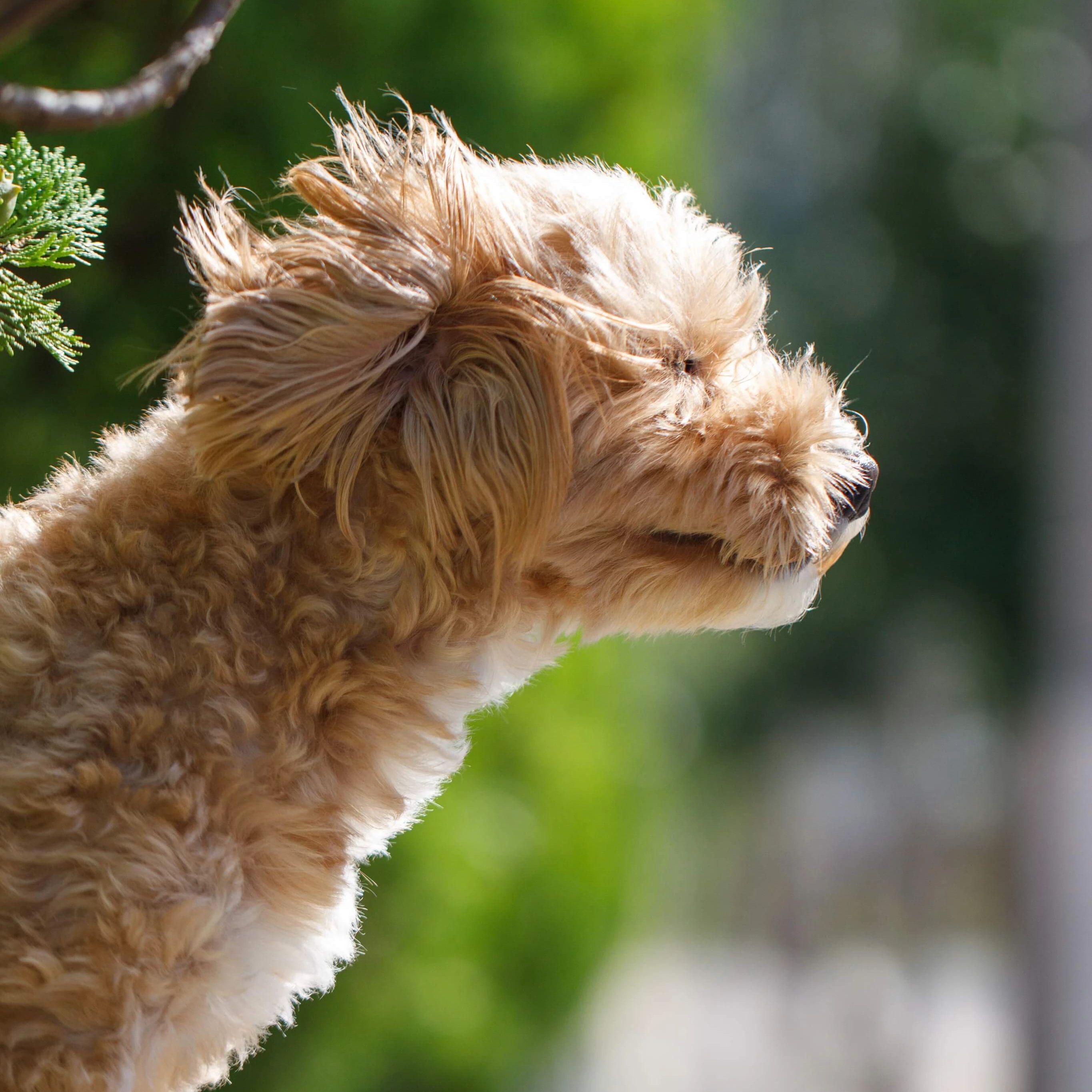 トンプソンアカデミー英会話教室 城東台東教室のサムネイル画像 4