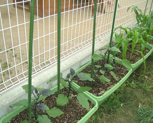 C&E 英語・英会話 下見校のサムネイル画像 2