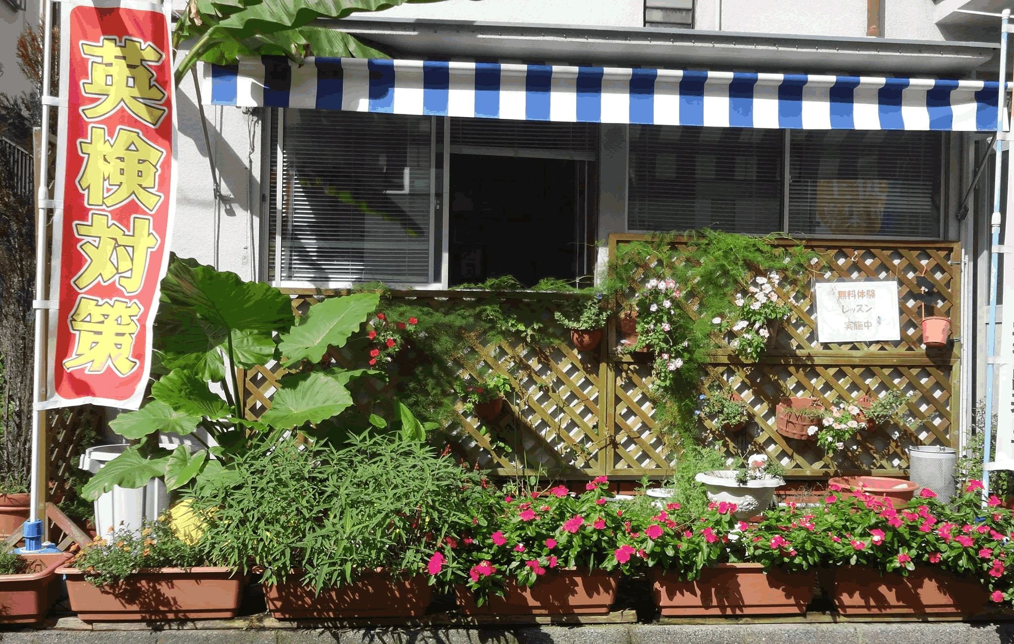 David Price English School(デイビッドプライスイングリッシュスクール) 旭園教室のメイン画像