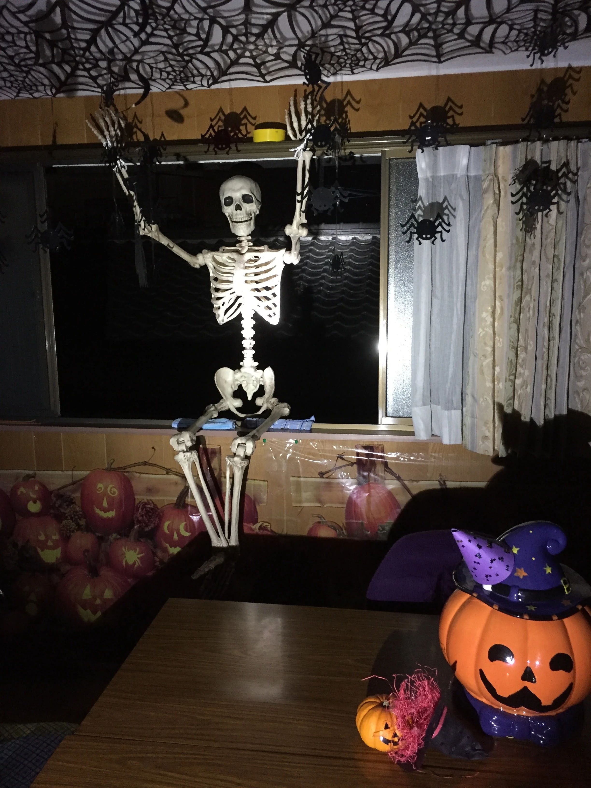 COEN(コーエン) 英語・英会話 北大河町のメイン画像