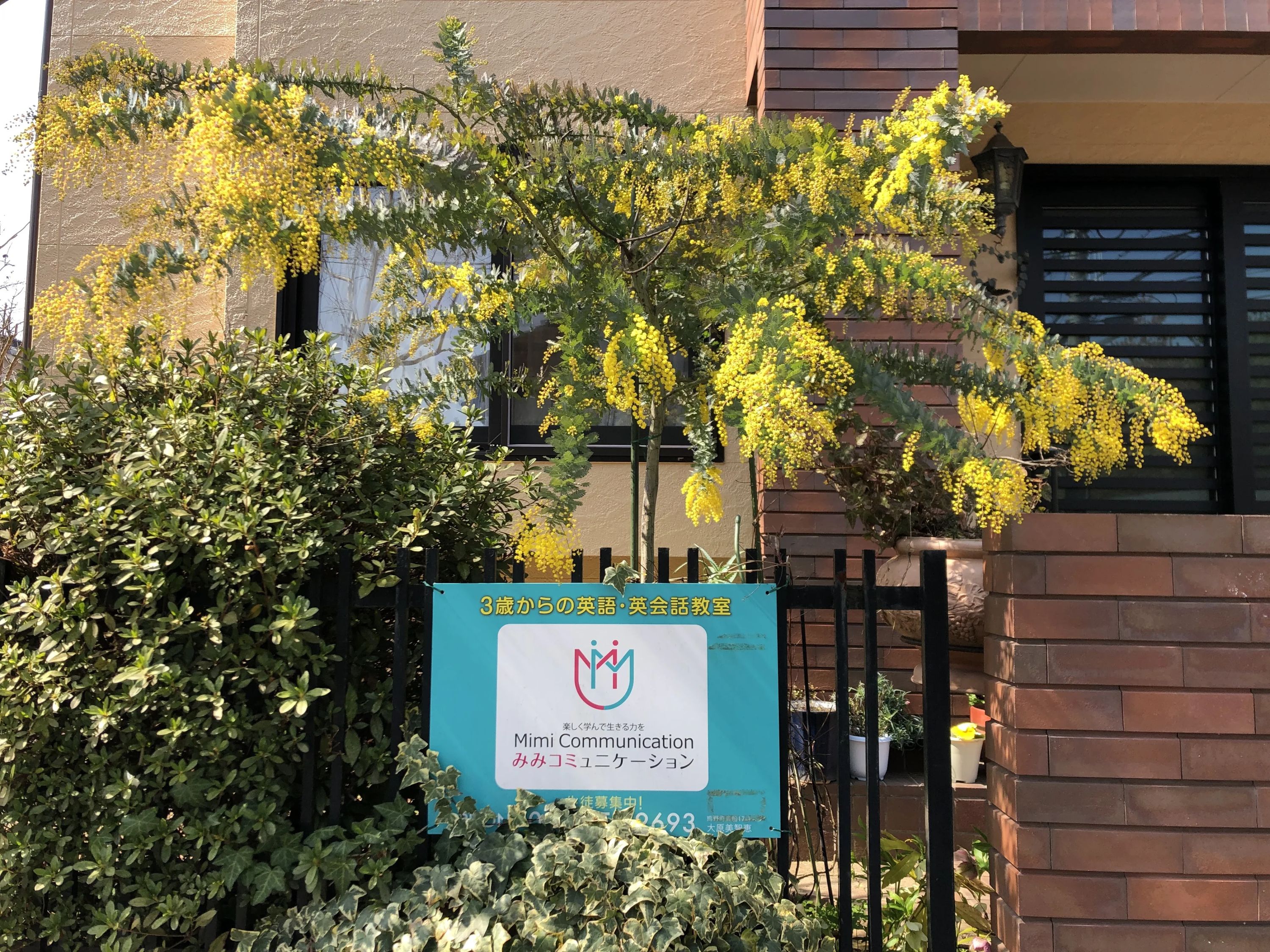 みみコミュニケーション 英語・英会話 熊野教室のサムネイル画像 5