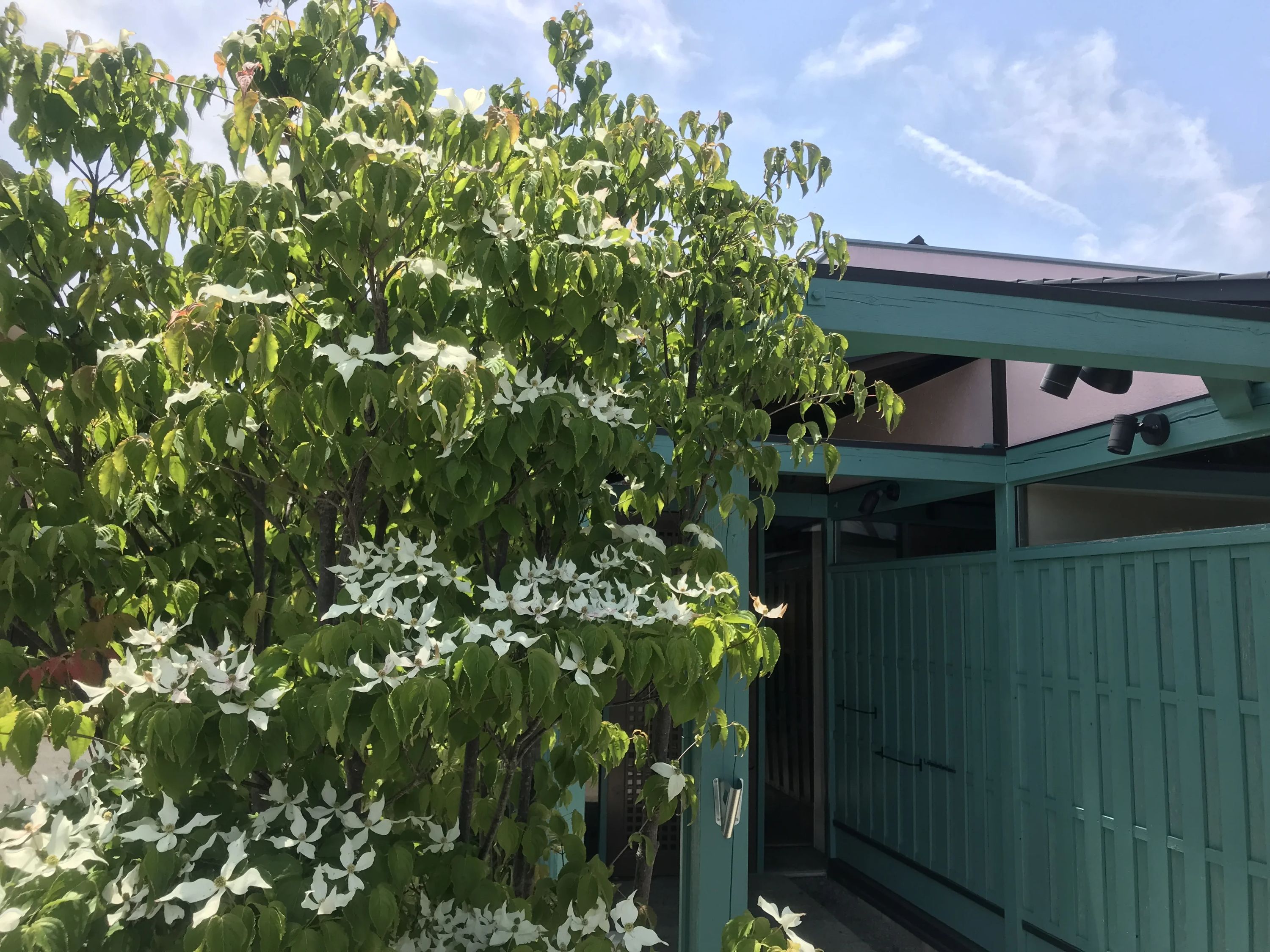 UI(ユーアイ) 英語・英会話 国府町教室のメイン画像