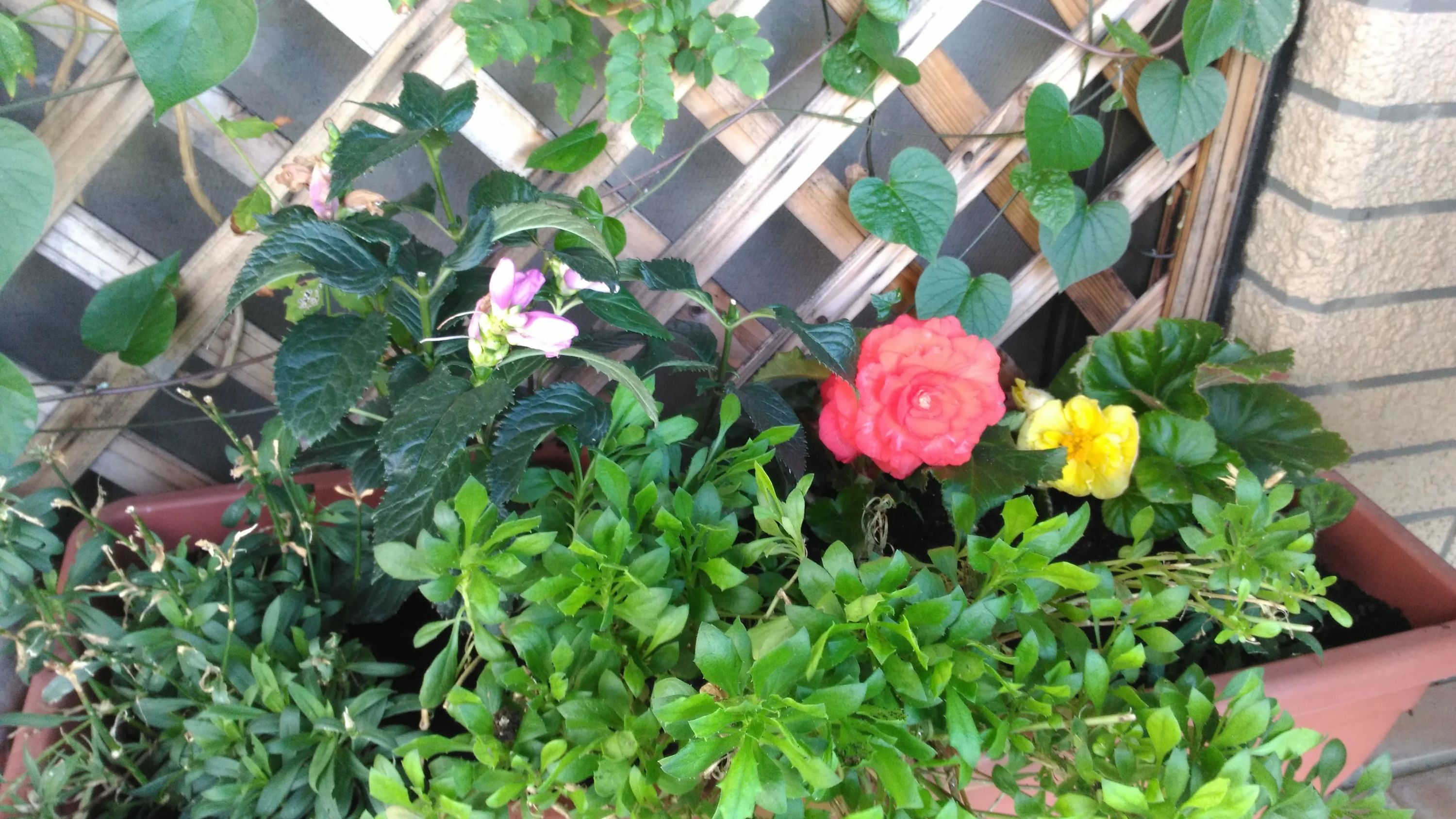 ATLANTIC(アトランティック) 英会話＆塾 名東町教室のメイン画像