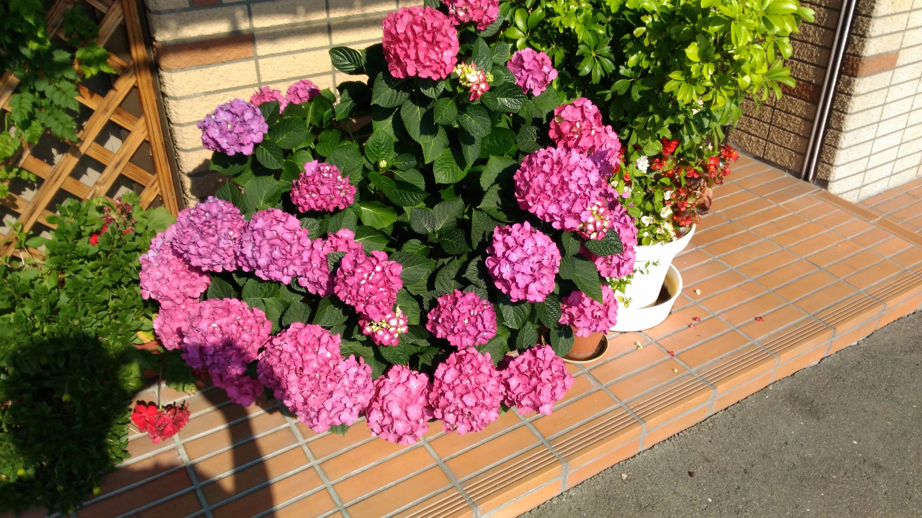 ATLANTIC(アトランティック) 英会話＆塾 名東町教室のサムネイル画像 3