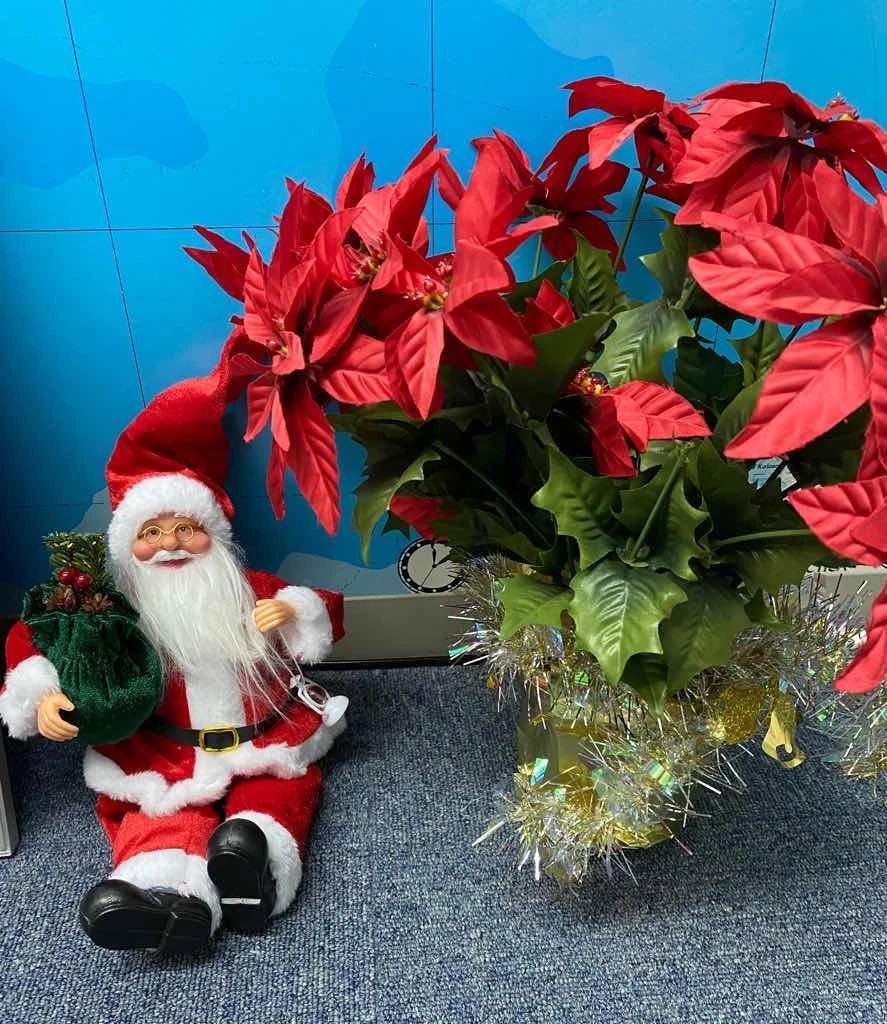 ジェムスクール 英語・英会話 高松レインボー校のメイン画像